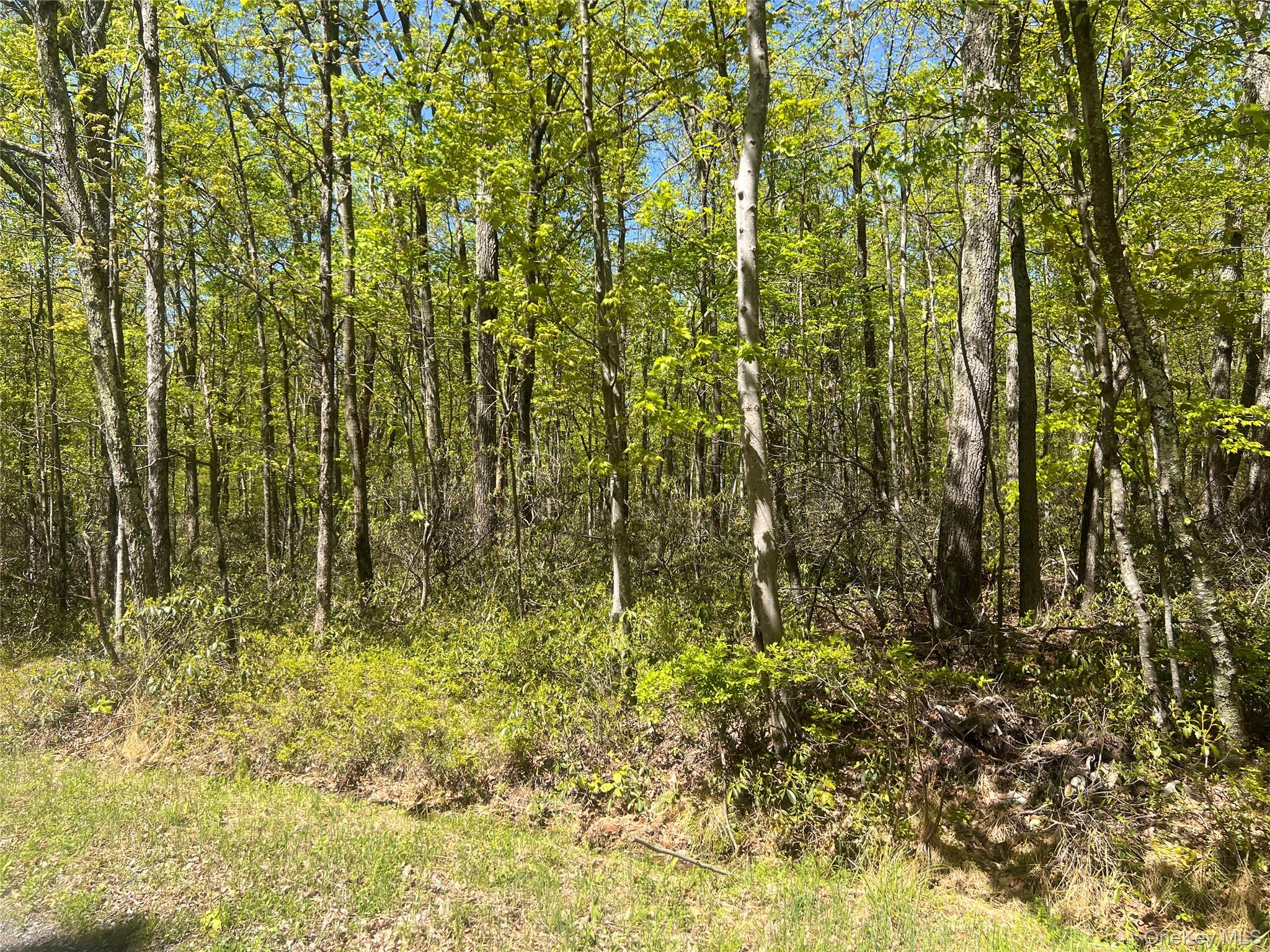 #5 photo, Schneller Lane, Pine Bush , NY 12566