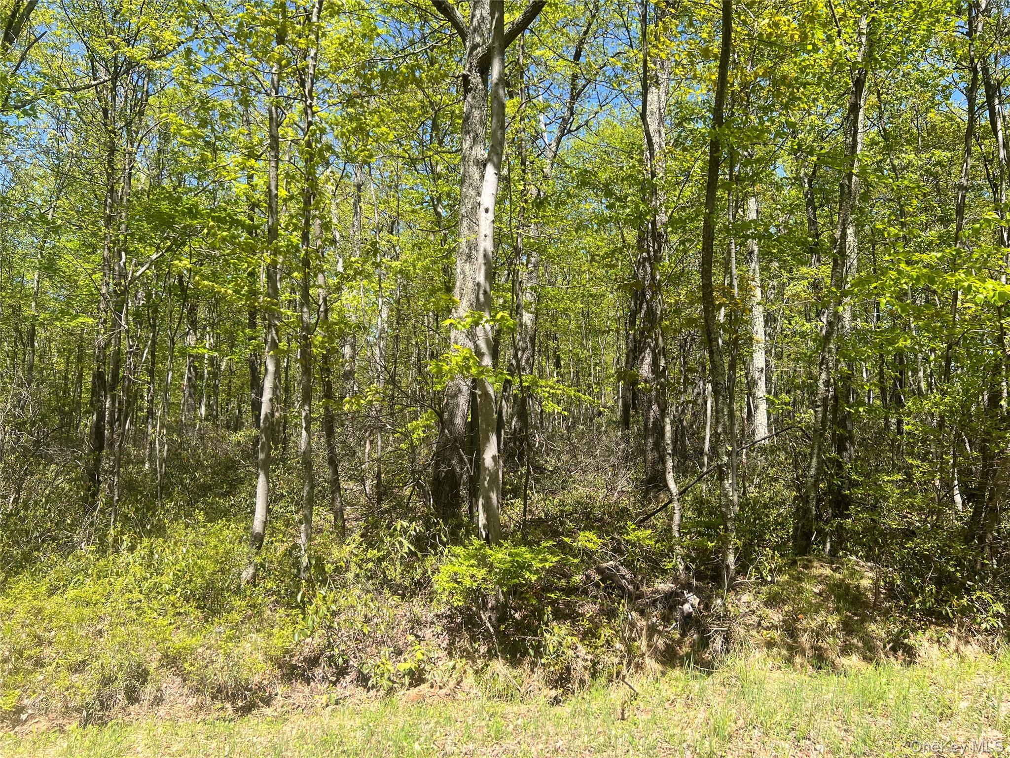 #6 photo, Schneller Lane, Pine Bush , NY 12566