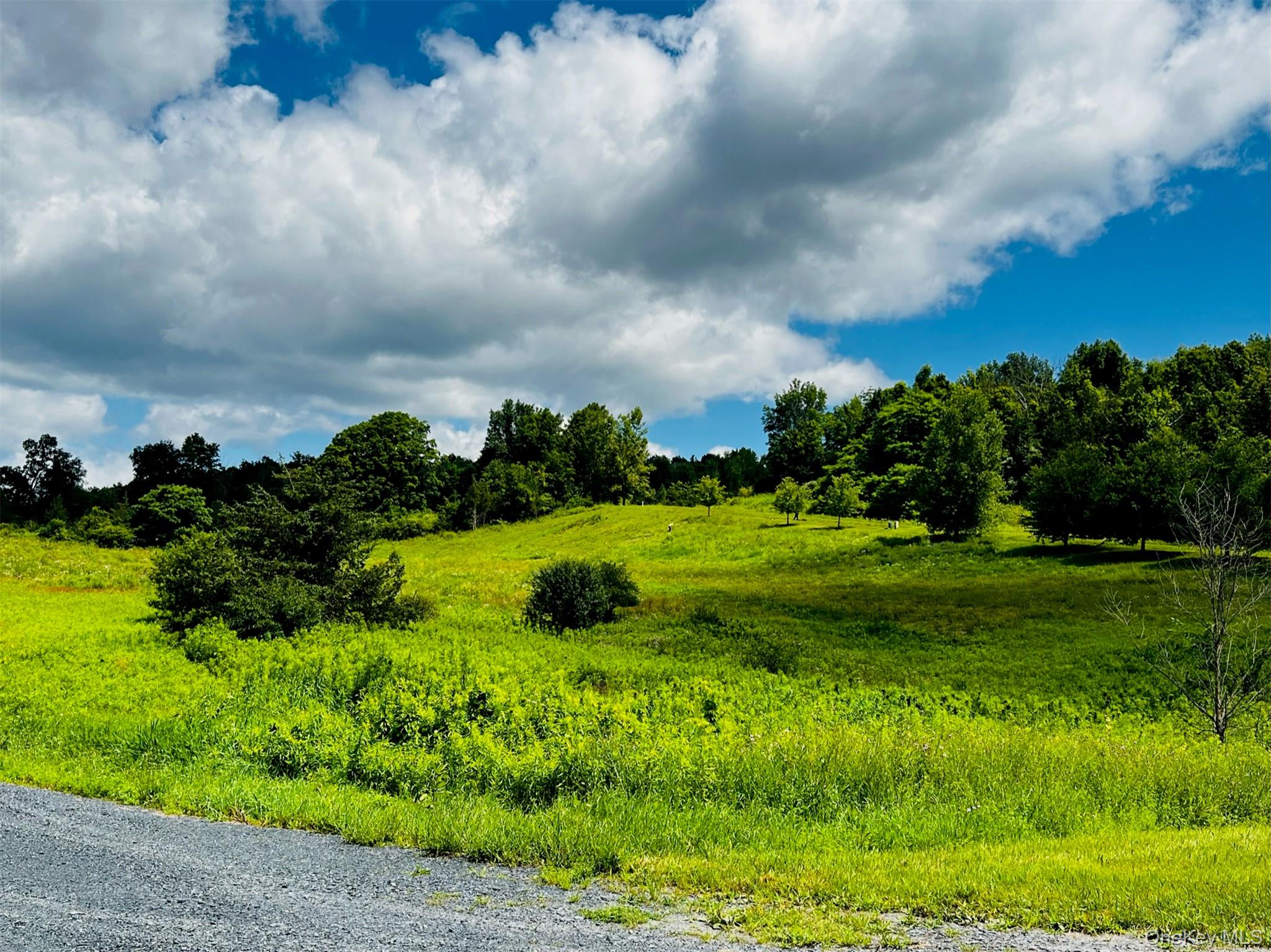 #11 photo, Lot 4 Westerly Ridge Drive, Amenia , NY 12501