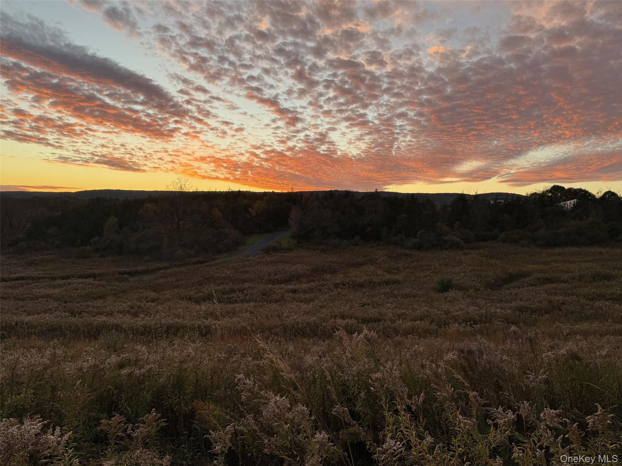 #2 photo, Lot 4 Westerly Ridge Drive, Amenia , NY 12501