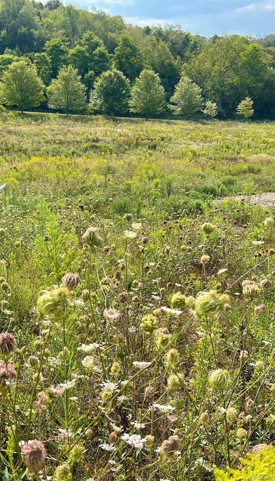 #6 photo, Lot 4 Westerly Ridge Drive, Amenia , NY 12501