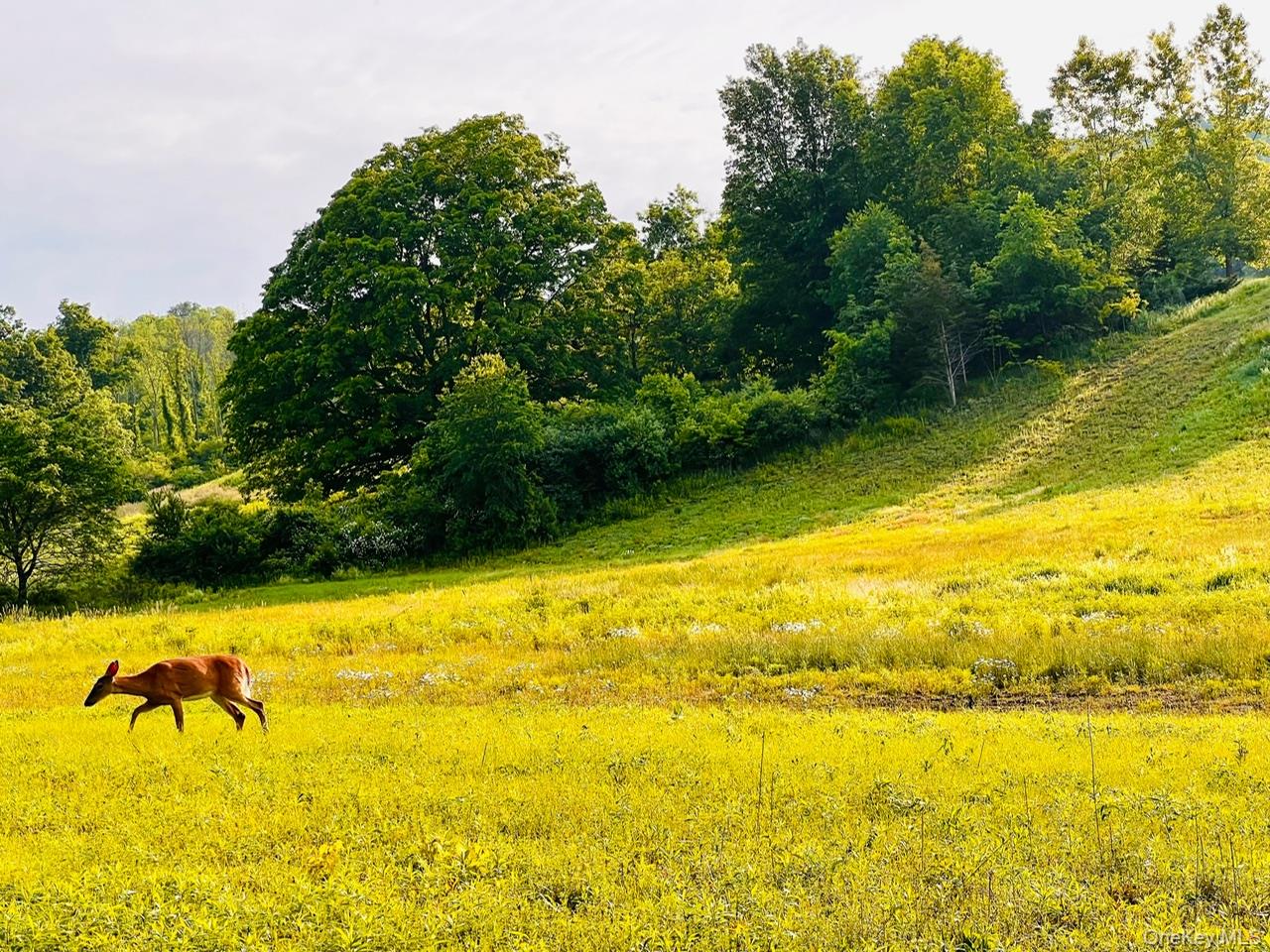 #8 photo, Lot 4 Westerly Ridge Drive, Amenia , NY 12501