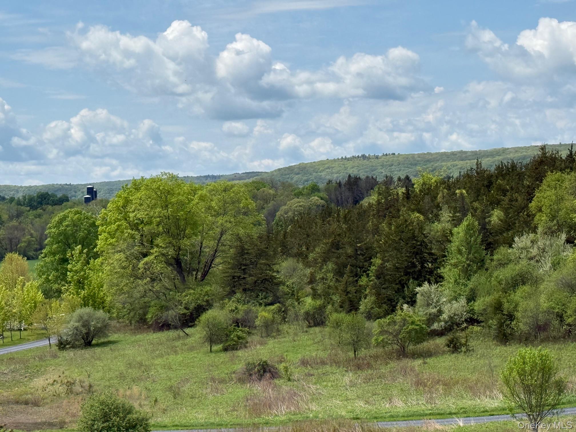 #9 photo, Lot 4 Westerly Ridge Drive, Amenia , NY 12501