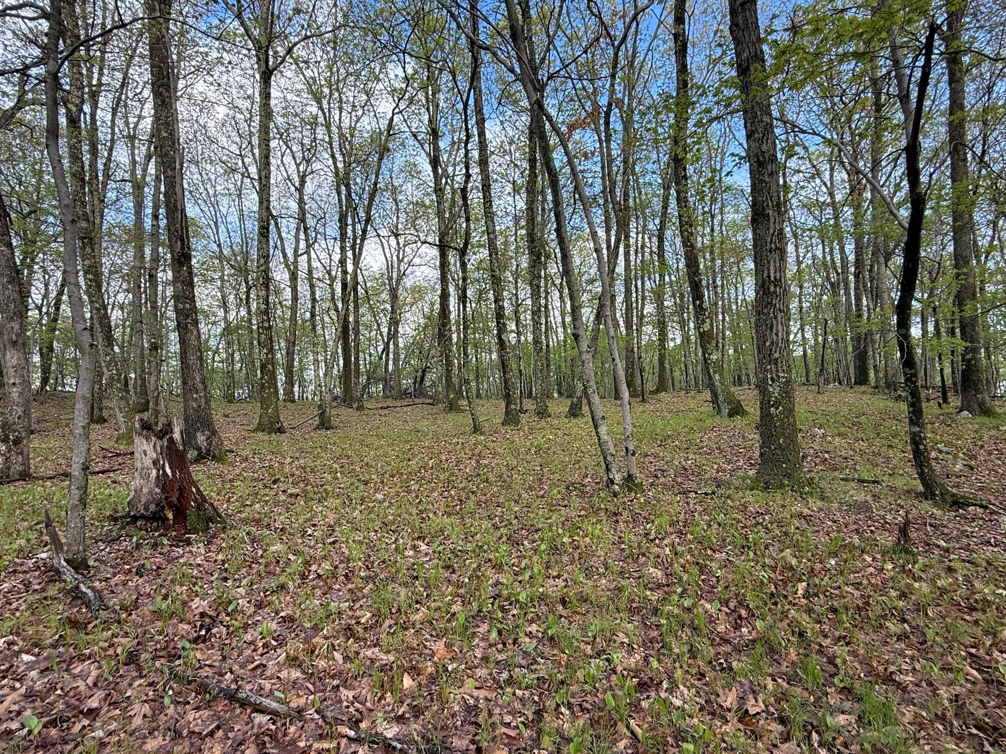 #11 photo, Skunks Misery Road, Millerton , NY 12546