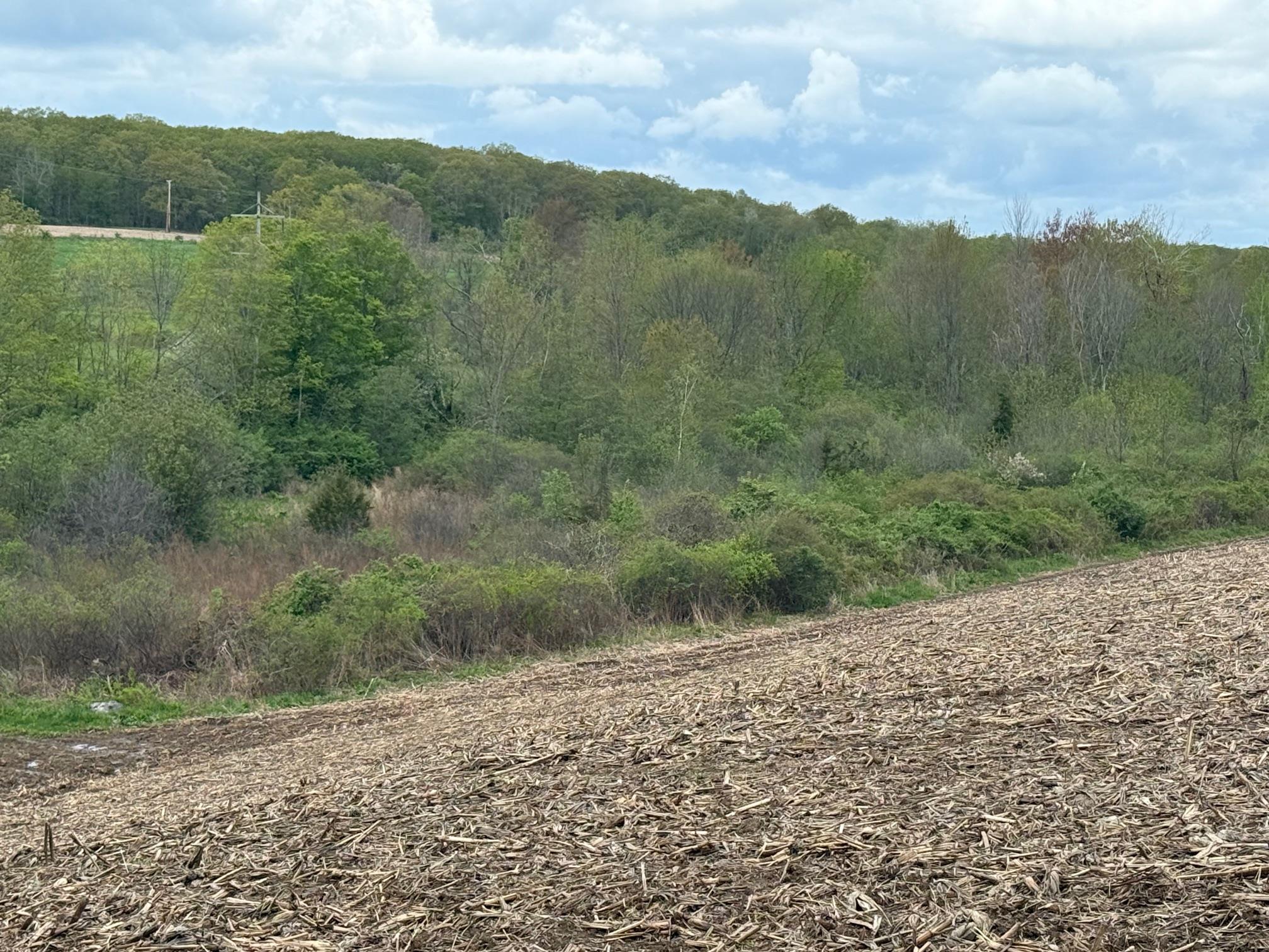 #12 photo, Skunks Misery Road, Millerton , NY 12546