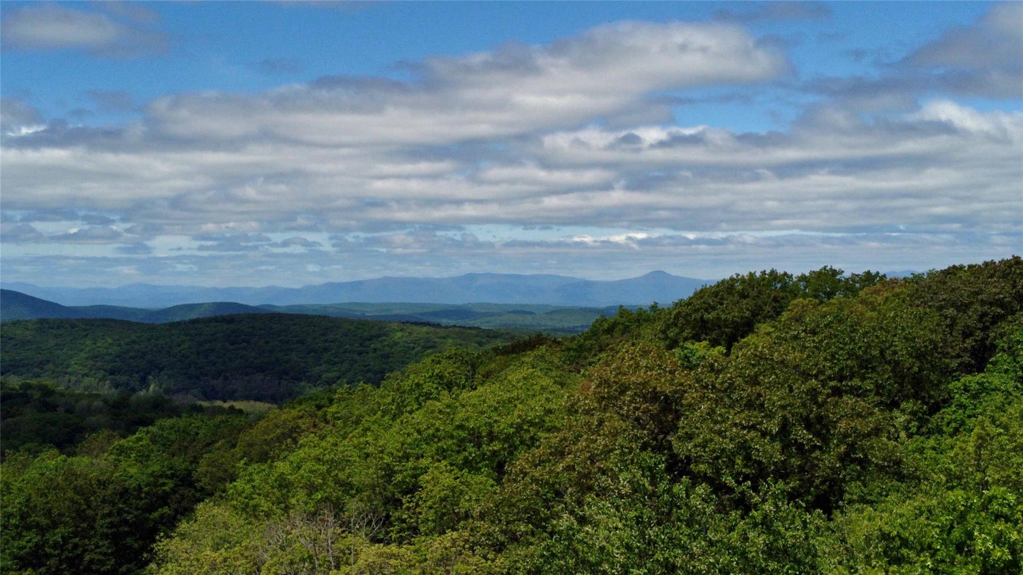 #20 photo, Skunks Misery Road, Millerton , NY 12546