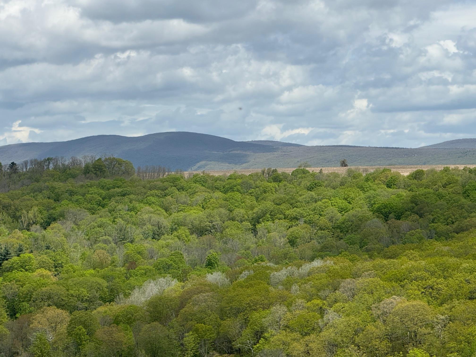 #3 photo, Skunks Misery Road, Millerton , NY 12546