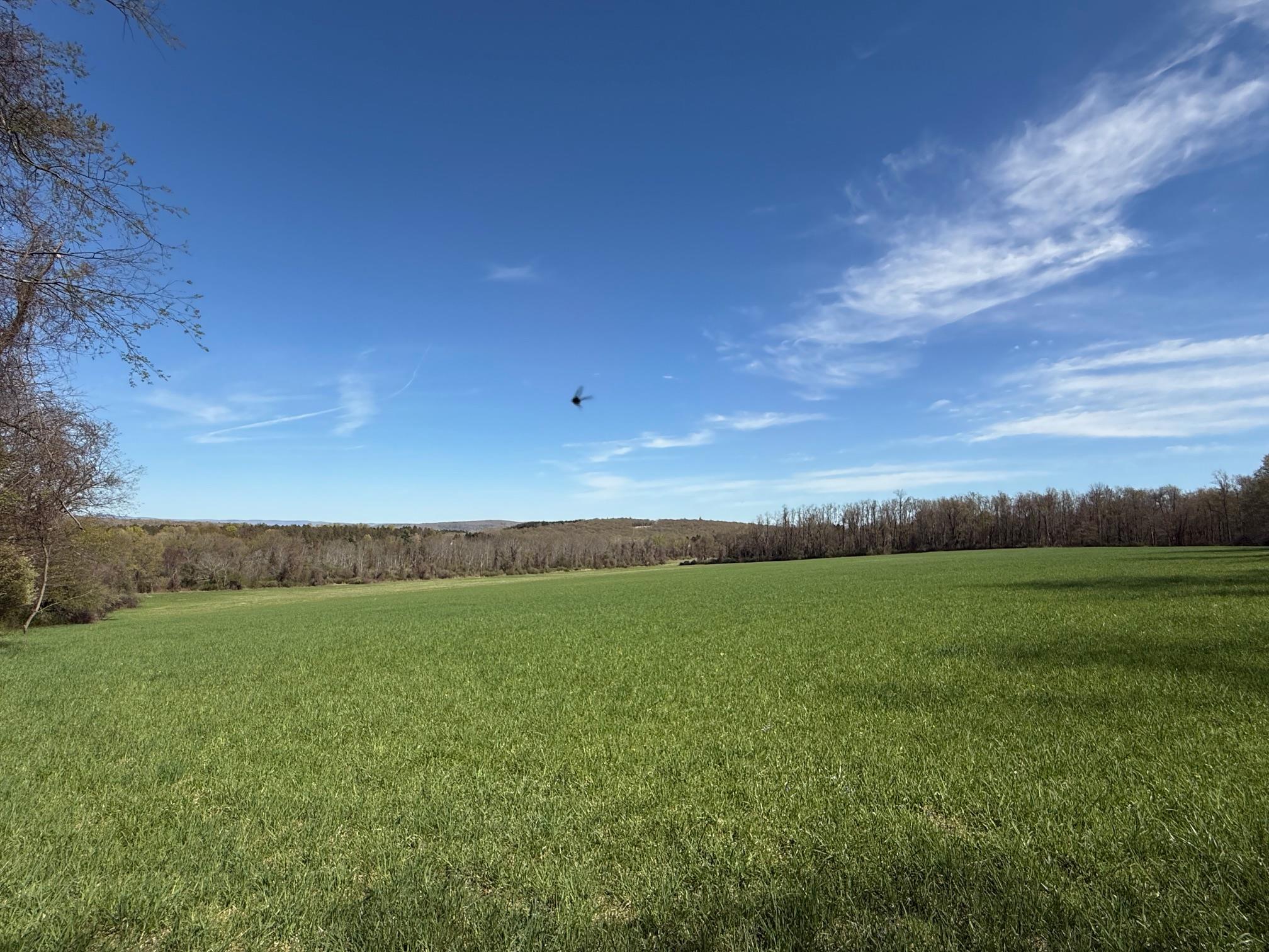 #5 photo, Skunks Misery Road, Millerton , NY 12546