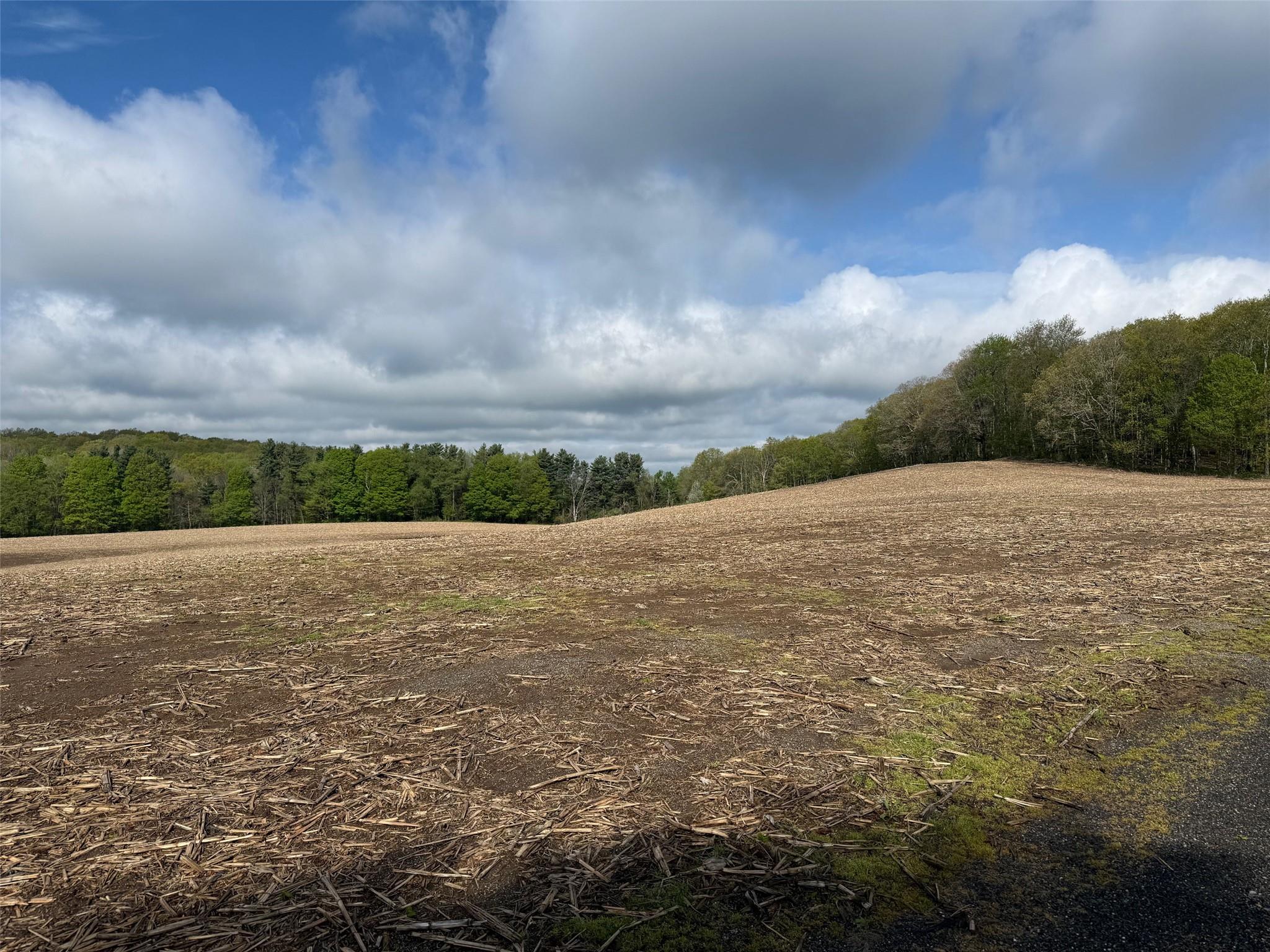 #6 photo, Skunks Misery Road, Millerton , NY 12546