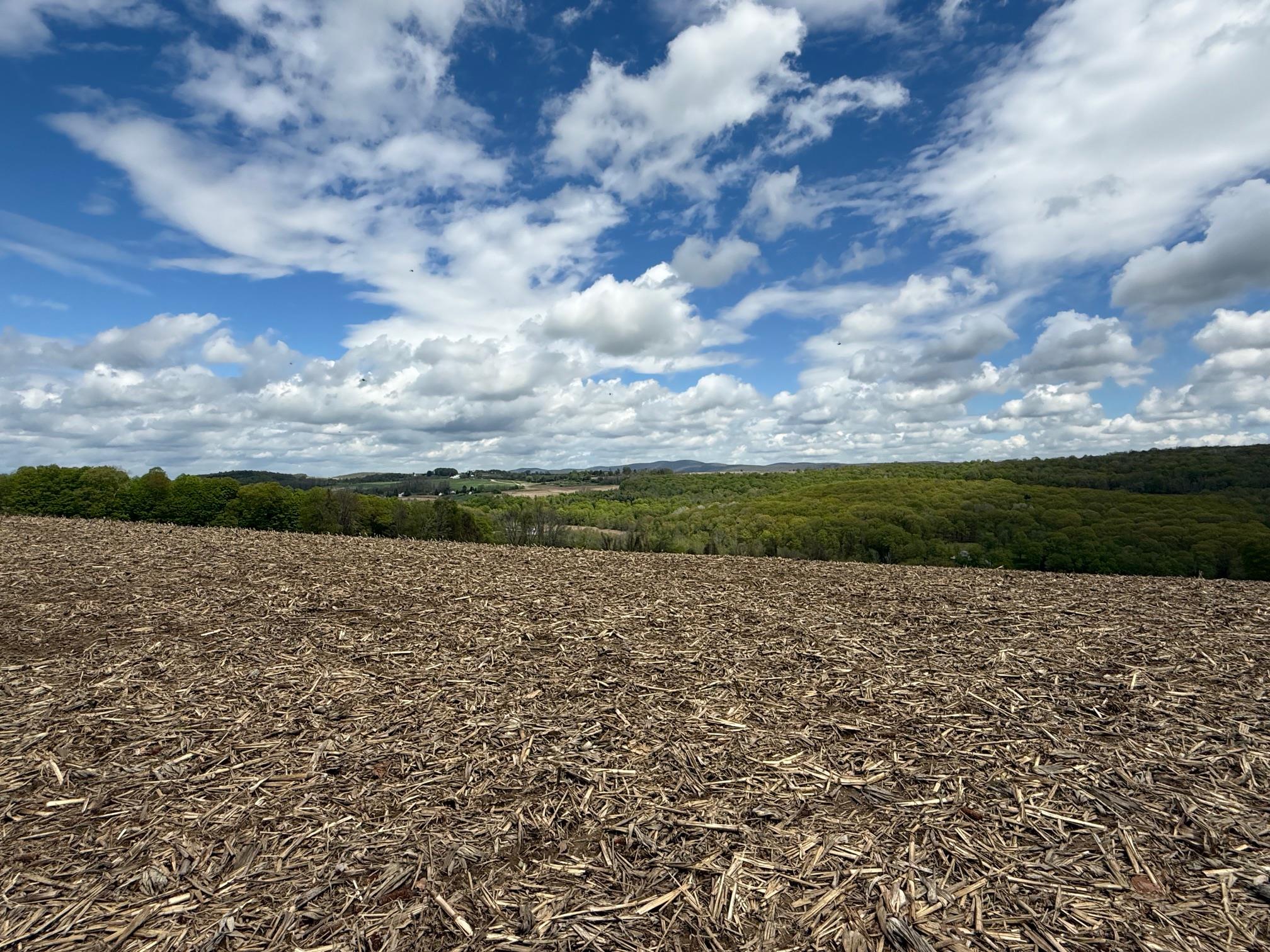 #7 photo, Skunks Misery Road, Millerton , NY 12546