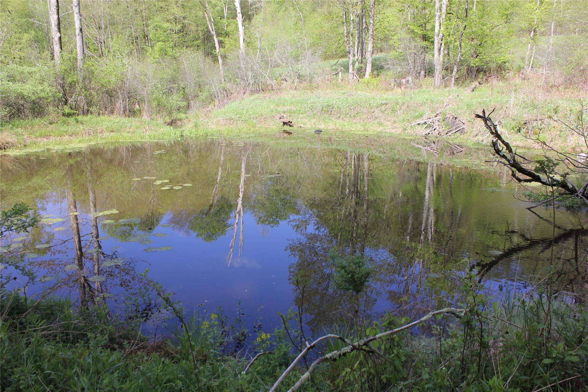 #10 photo, 53 Menges Road, Livingston Manor , NY 12758