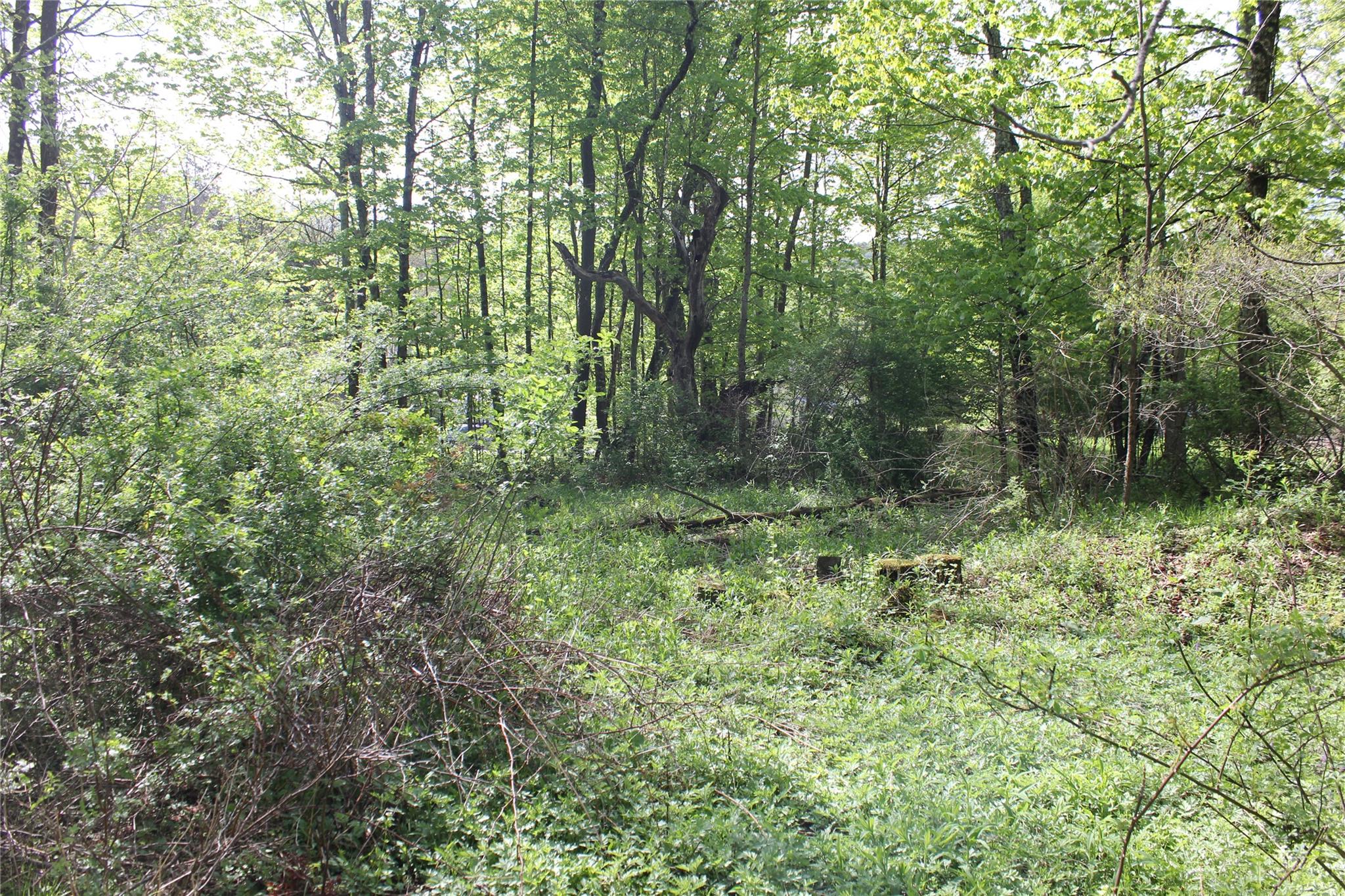 #11 photo, 53 Menges Road, Livingston Manor , NY 12758