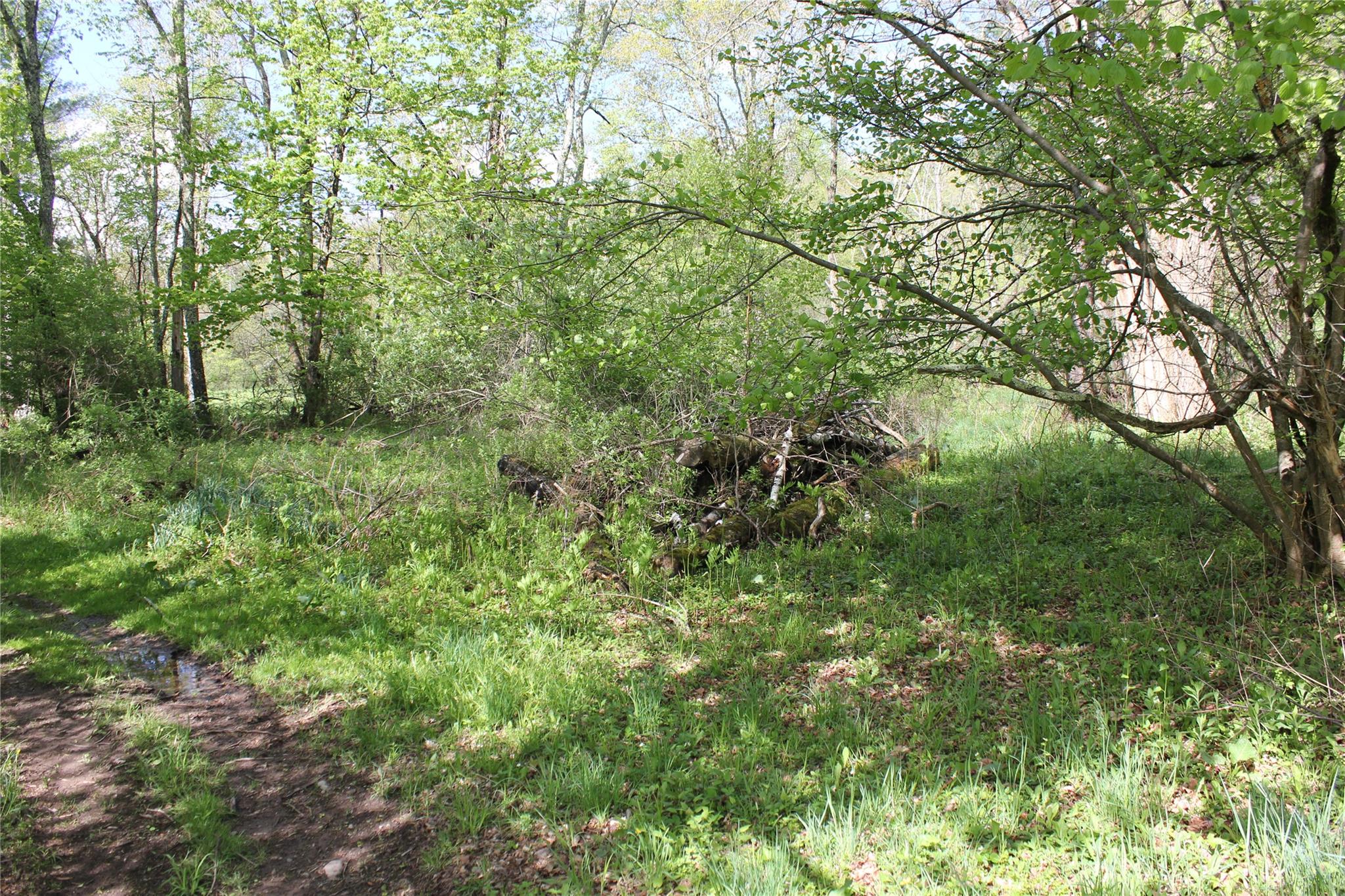 #12 photo, 53 Menges Road, Livingston Manor , NY 12758