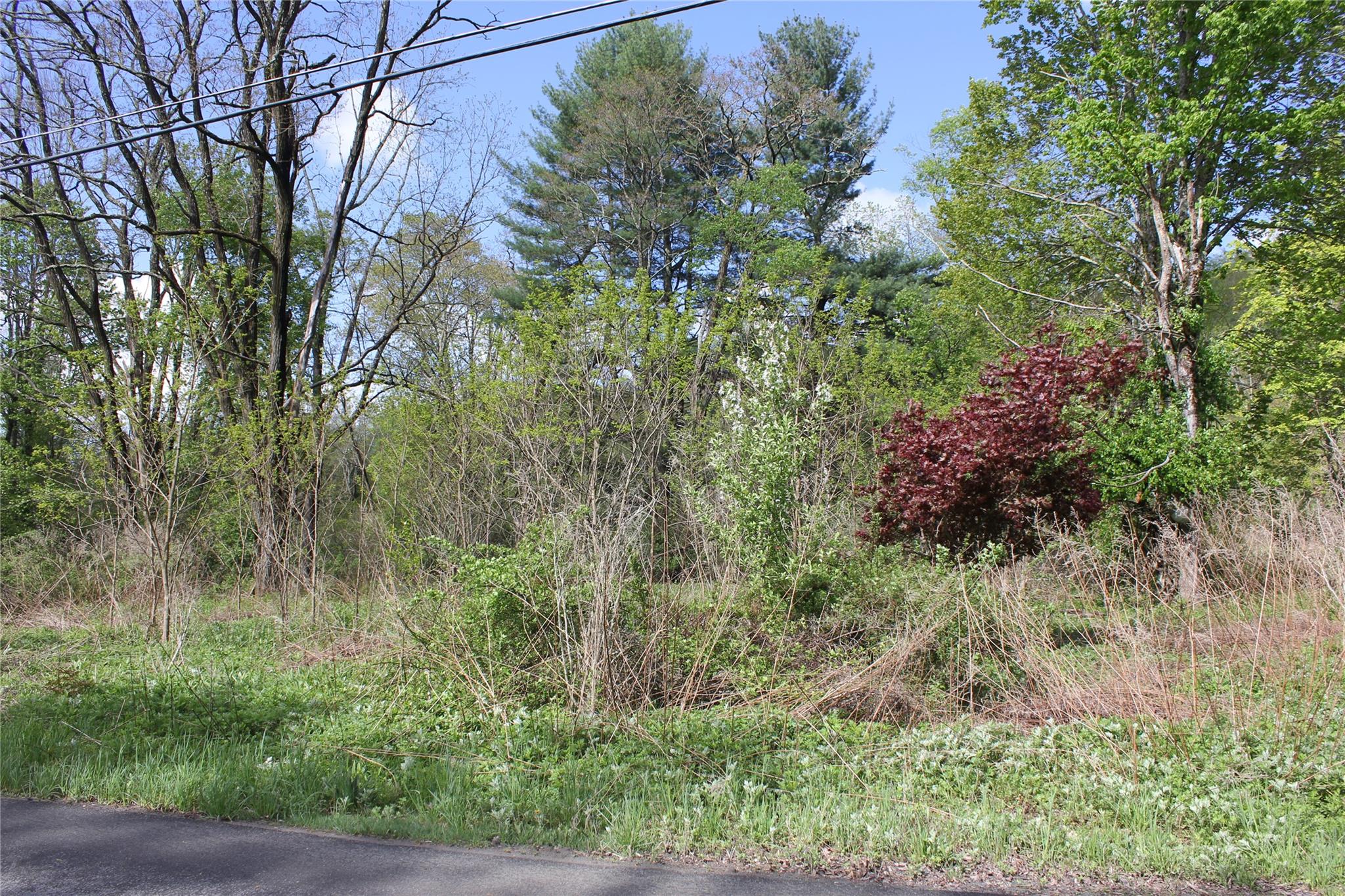 #13 photo, 53 Menges Road, Livingston Manor , NY 12758