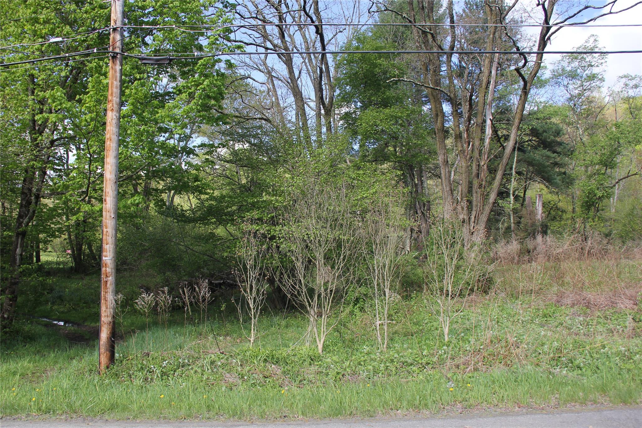 #15 photo, 53 Menges Road, Livingston Manor , NY 12758