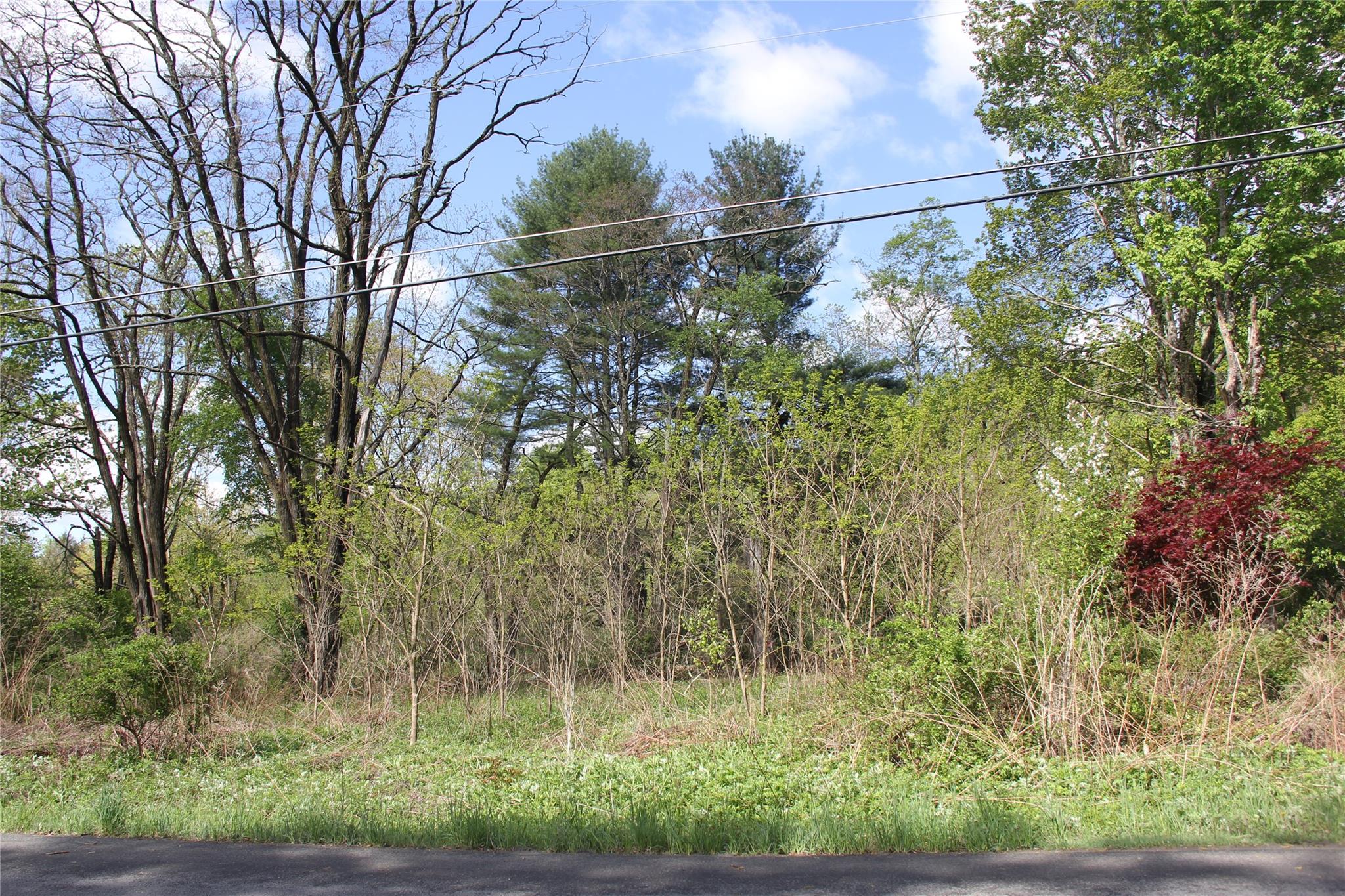 #16 photo, 53 Menges Road, Livingston Manor , NY 12758