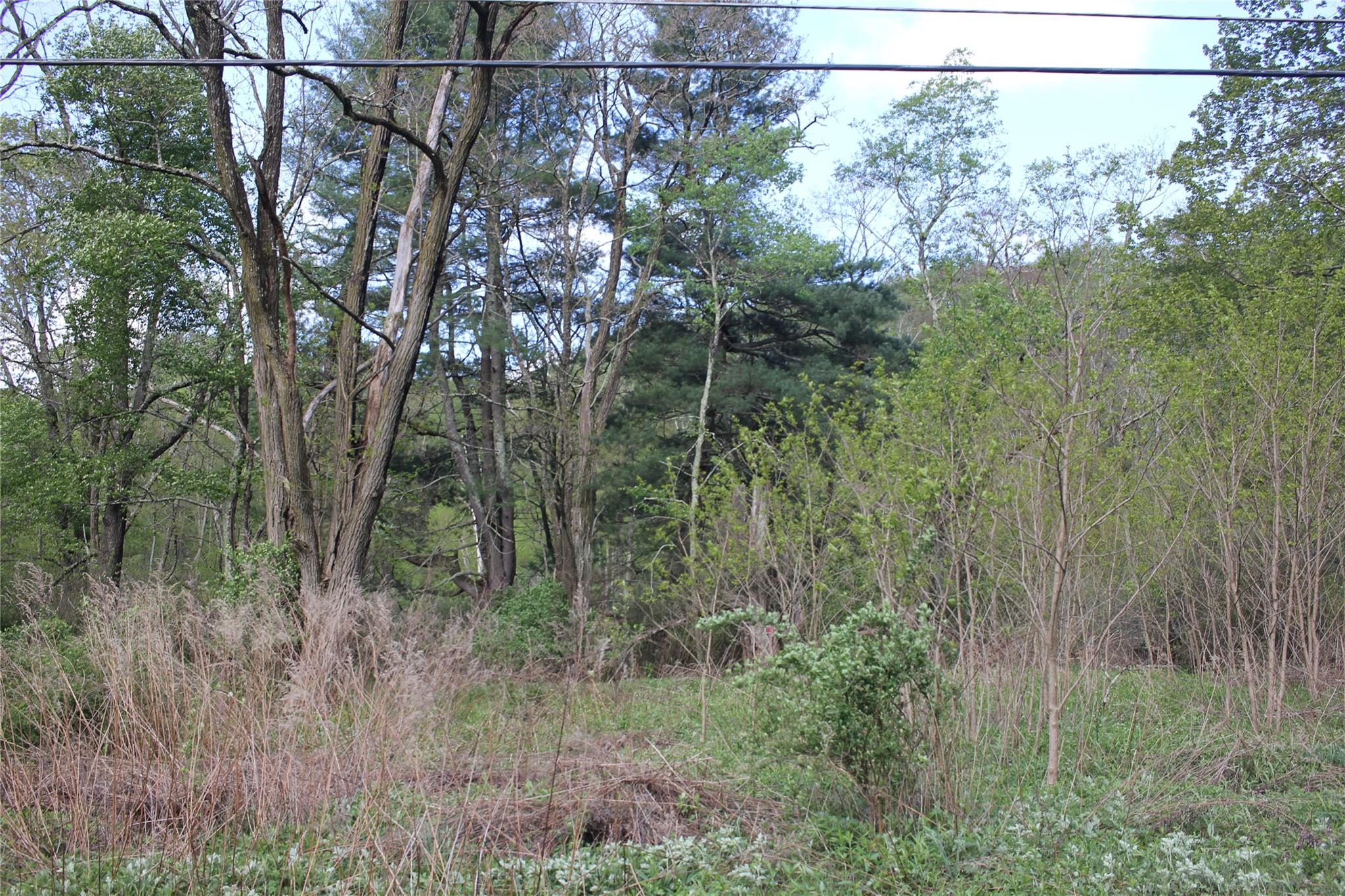 #3 photo, 53 Menges Road, Livingston Manor , NY 12758