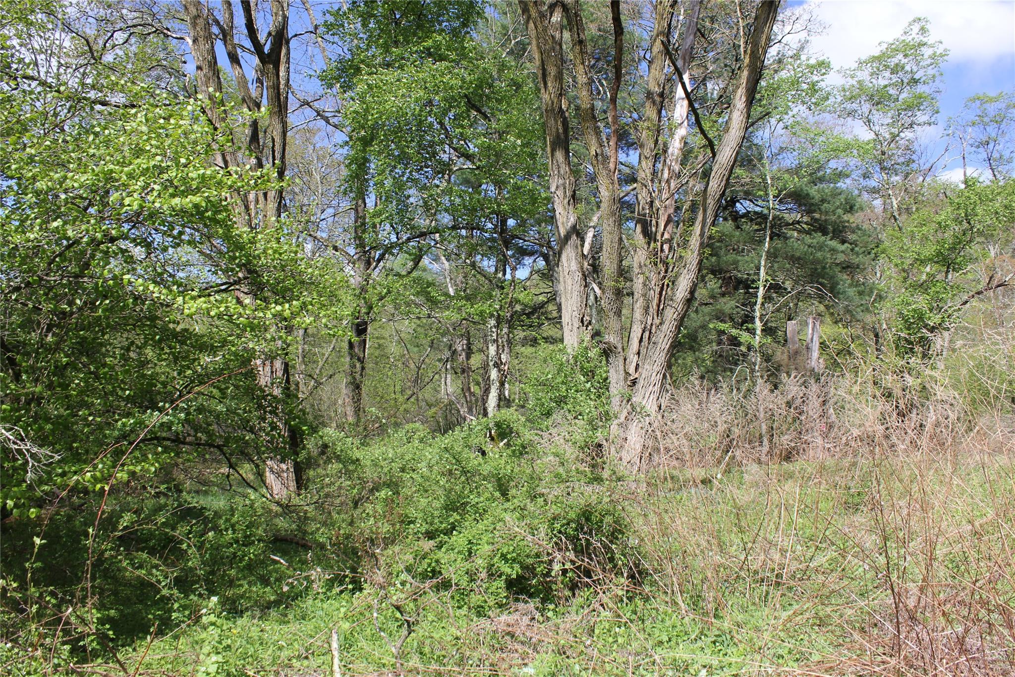 #4 photo, 53 Menges Road, Livingston Manor , NY 12758