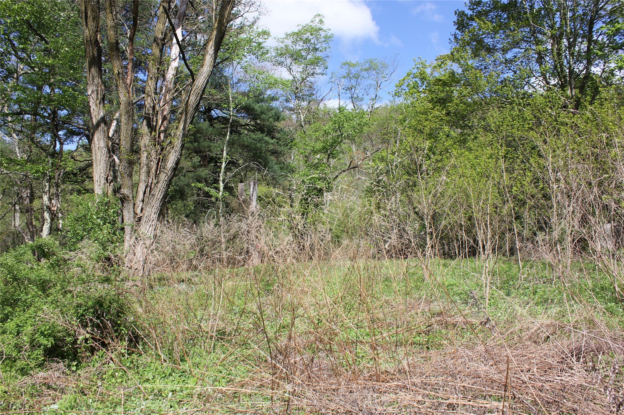 #5 photo, 53 Menges Road, Livingston Manor , NY 12758