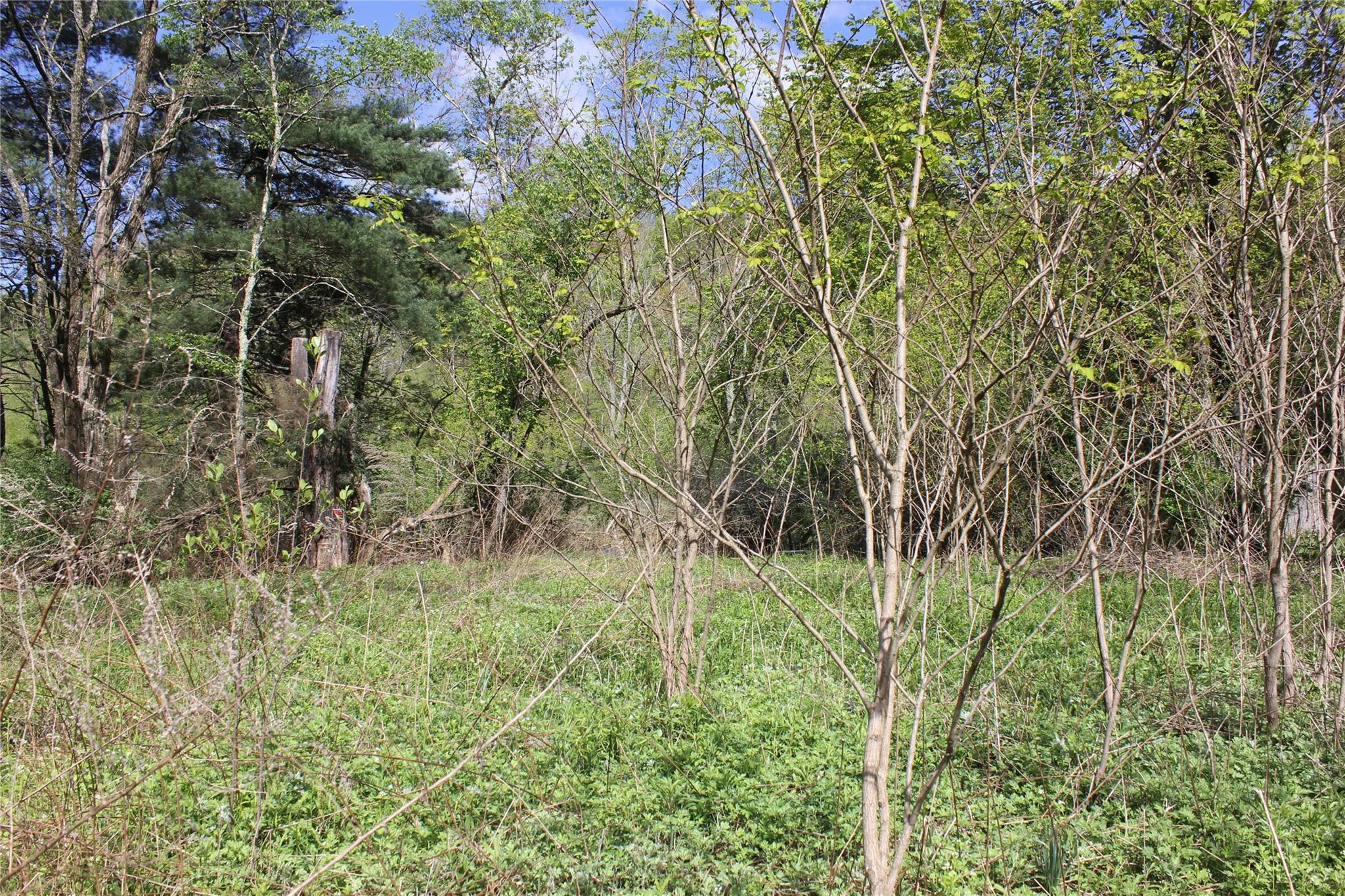 #6 photo, 53 Menges Road, Livingston Manor , NY 12758