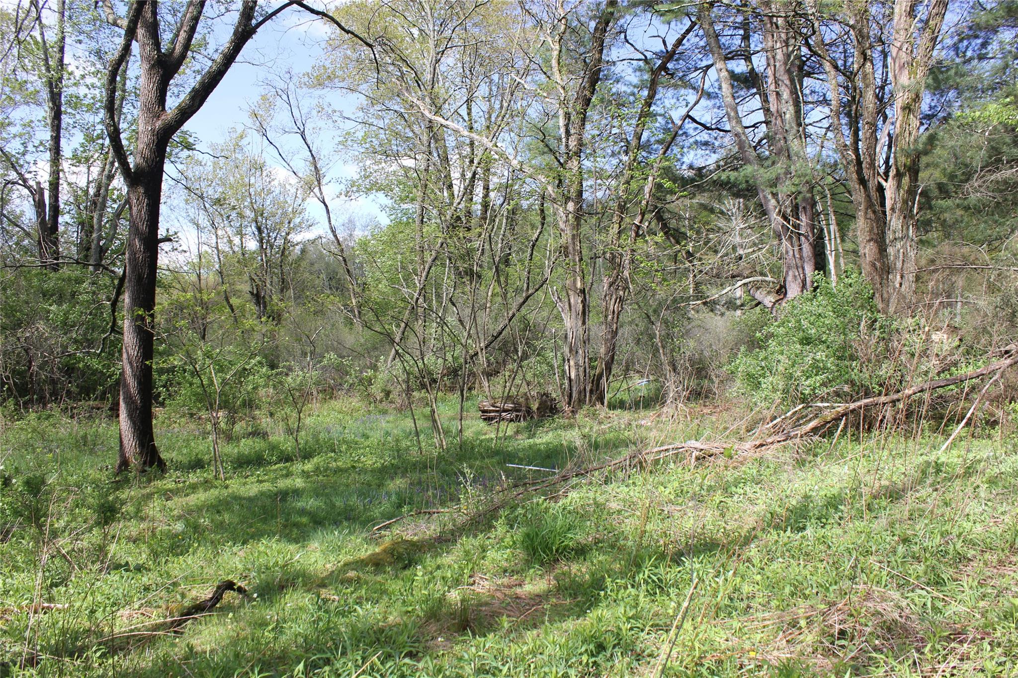 #7 photo, 53 Menges Road, Livingston Manor , NY 12758