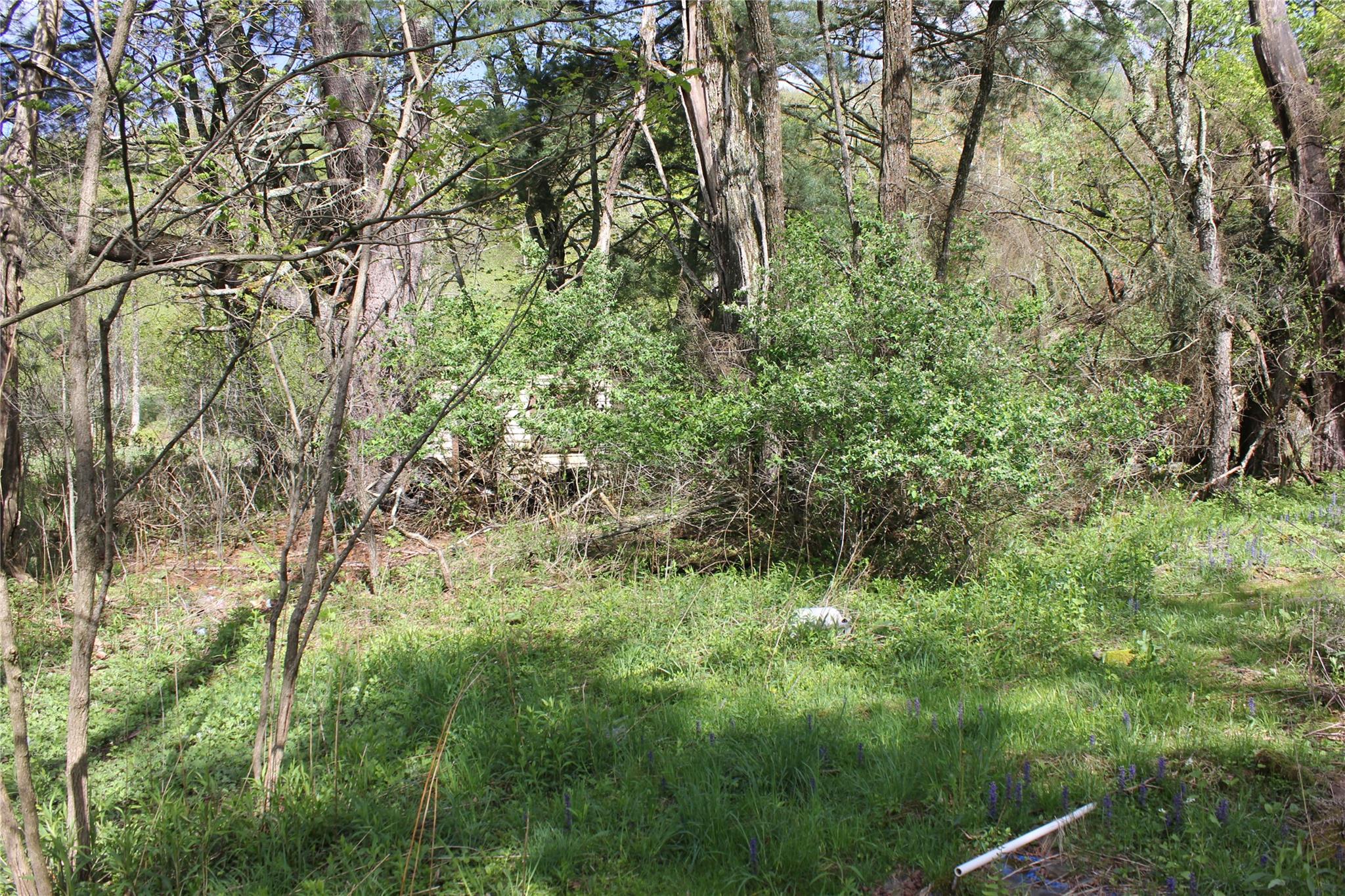 #8 photo, 53 Menges Road, Livingston Manor , NY 12758