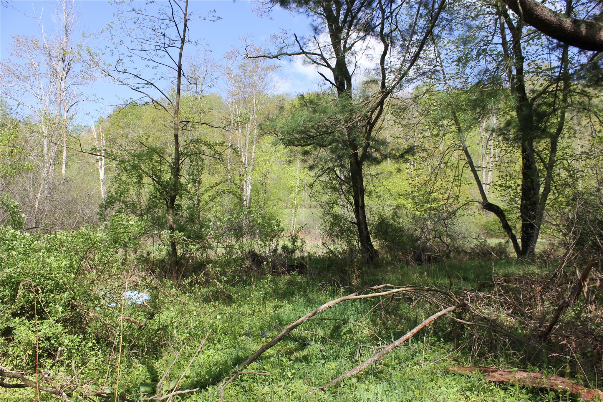 #9 photo, 53 Menges Road, Livingston Manor , NY 12758