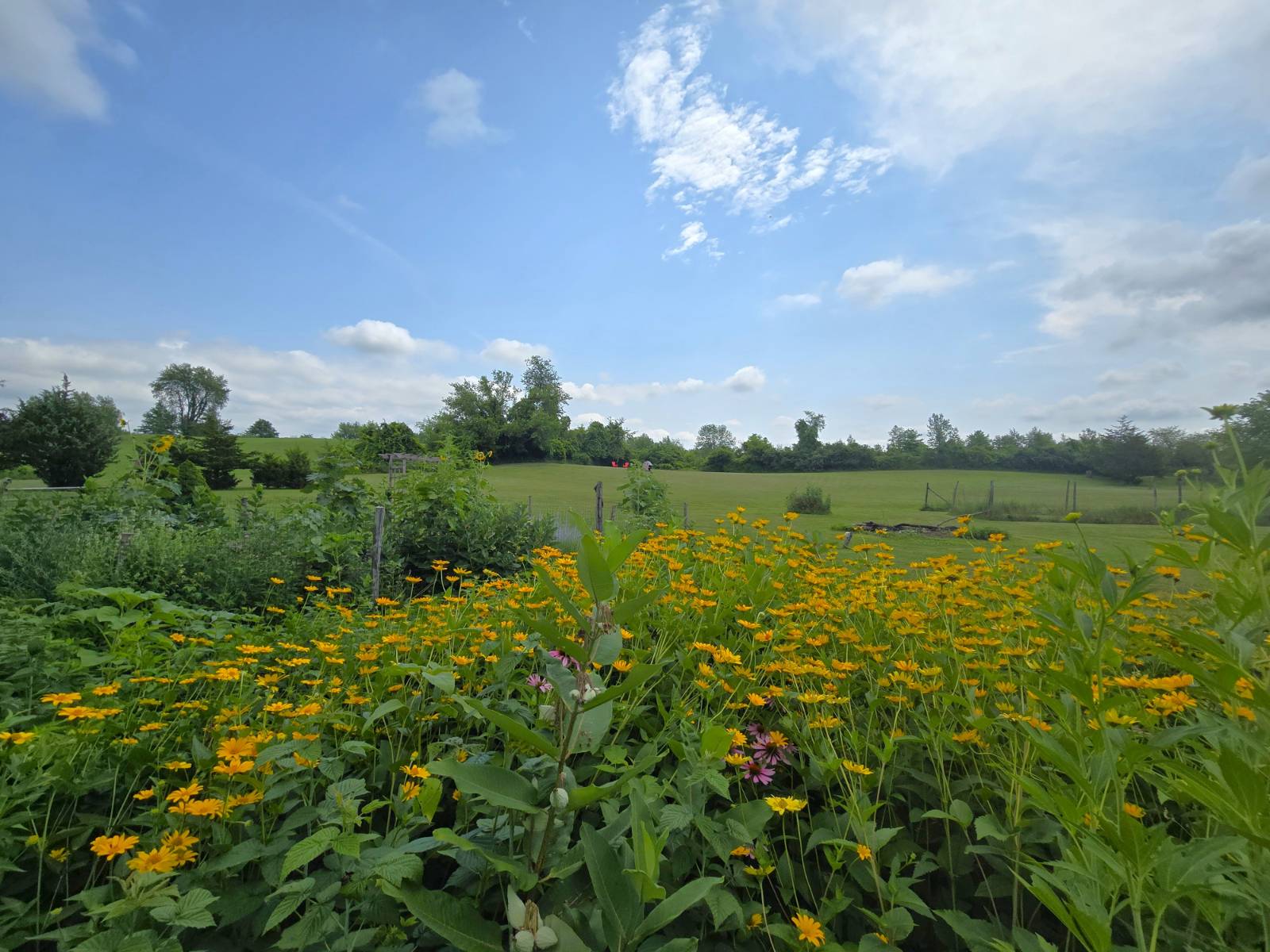 #3 photo, 4522 Route 9G, Germantown , NY 12526