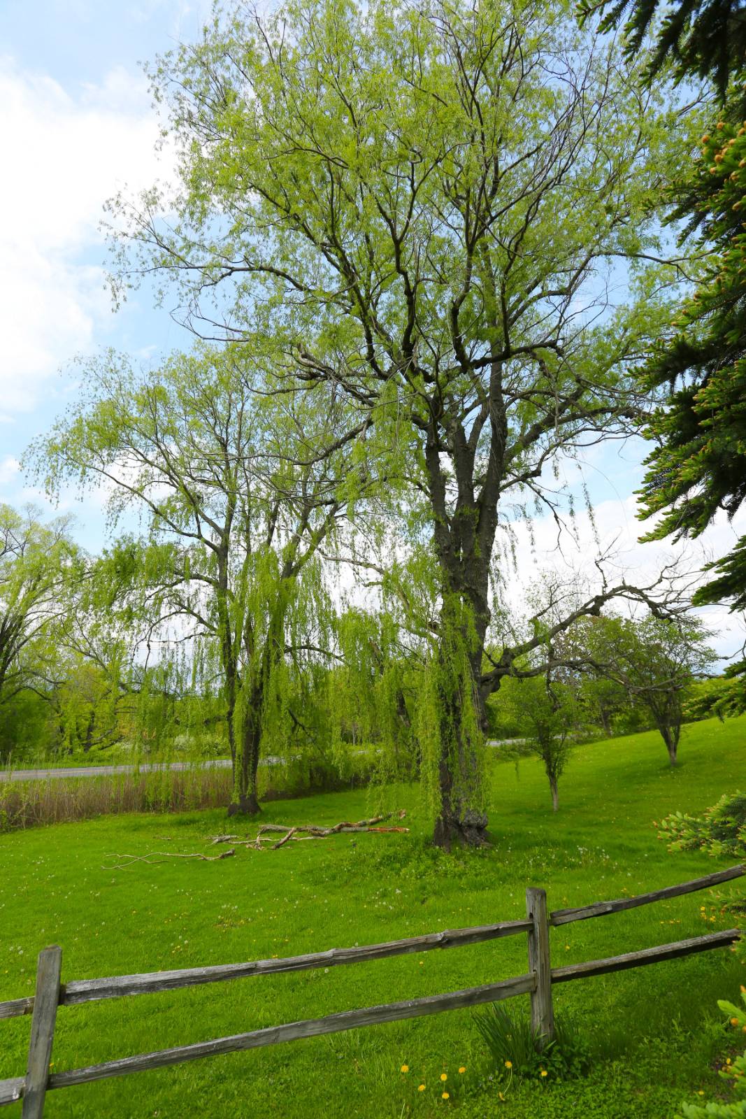 #37 photo, 4522 Route 9G, Germantown , NY 12526