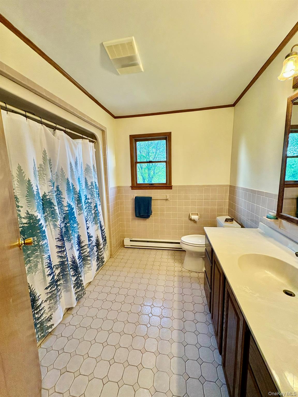 #13 photo, 223 Wade, Liberty , NY 12754