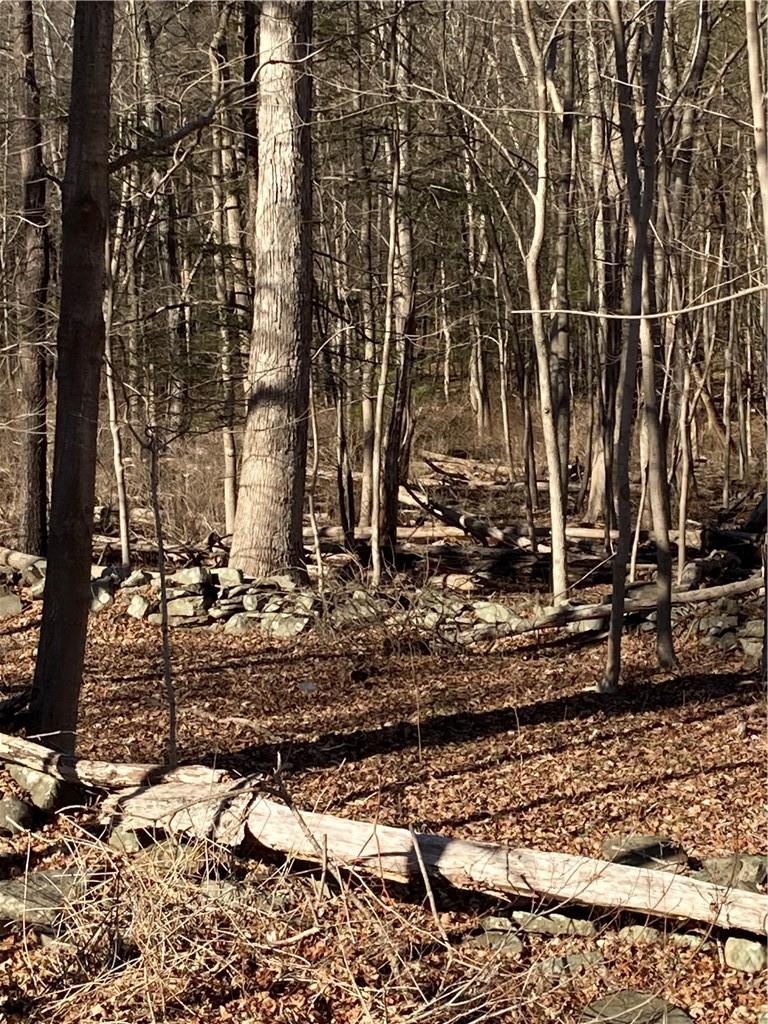 #10 photo, Route 212, Saugerties , NY 12477