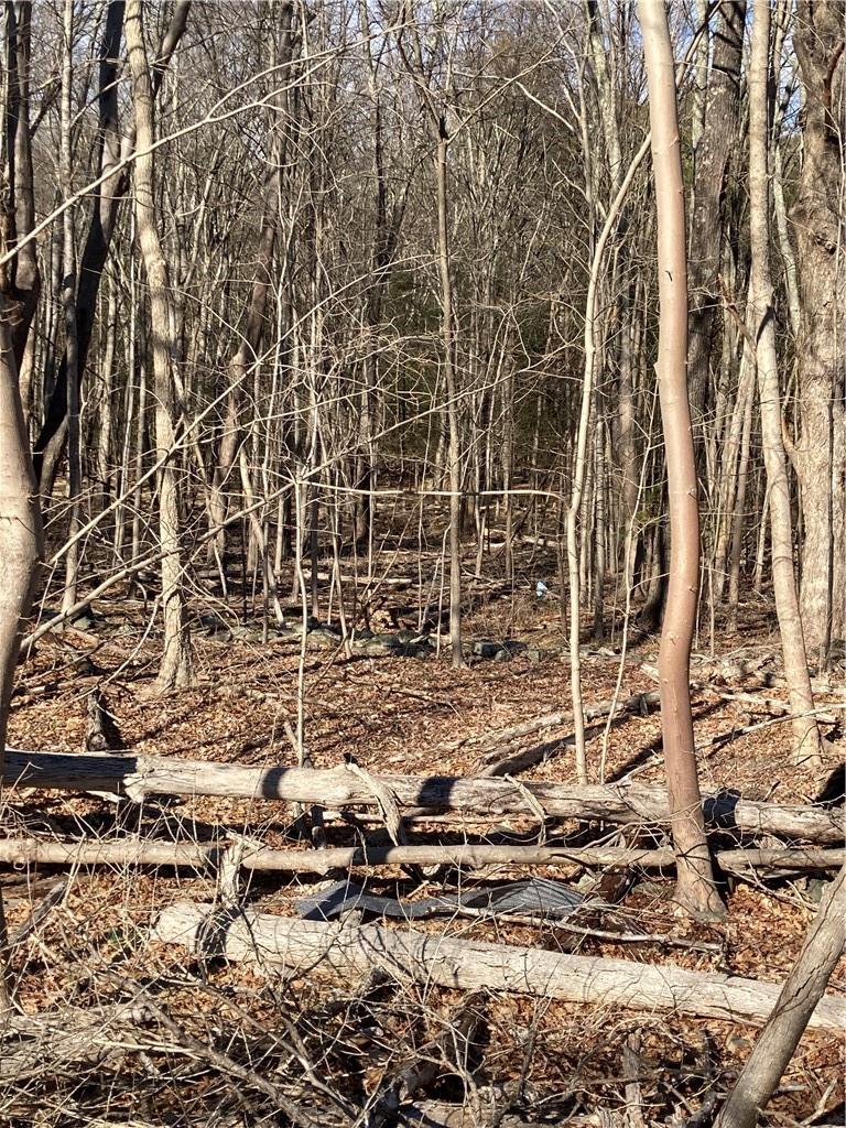 #11 photo, Route 212, Saugerties , NY 12477