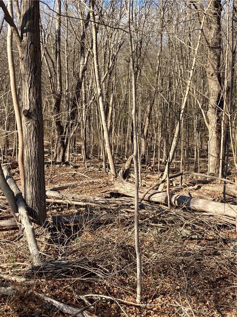 #12 photo, Route 212, Saugerties , NY 12477