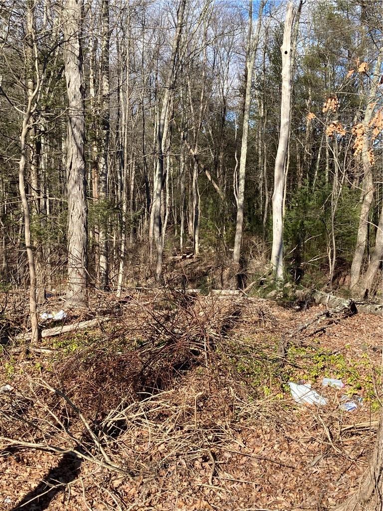 #13 photo, Route 212, Saugerties , NY 12477