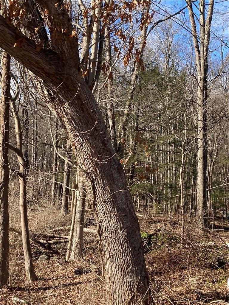 #14 photo, Route 212, Saugerties , NY 12477