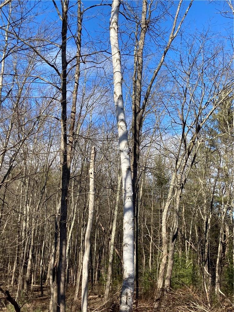 #15 photo, Route 212, Saugerties , NY 12477