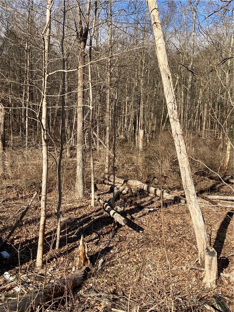 #4 photo, Route 212, Saugerties , NY 12477