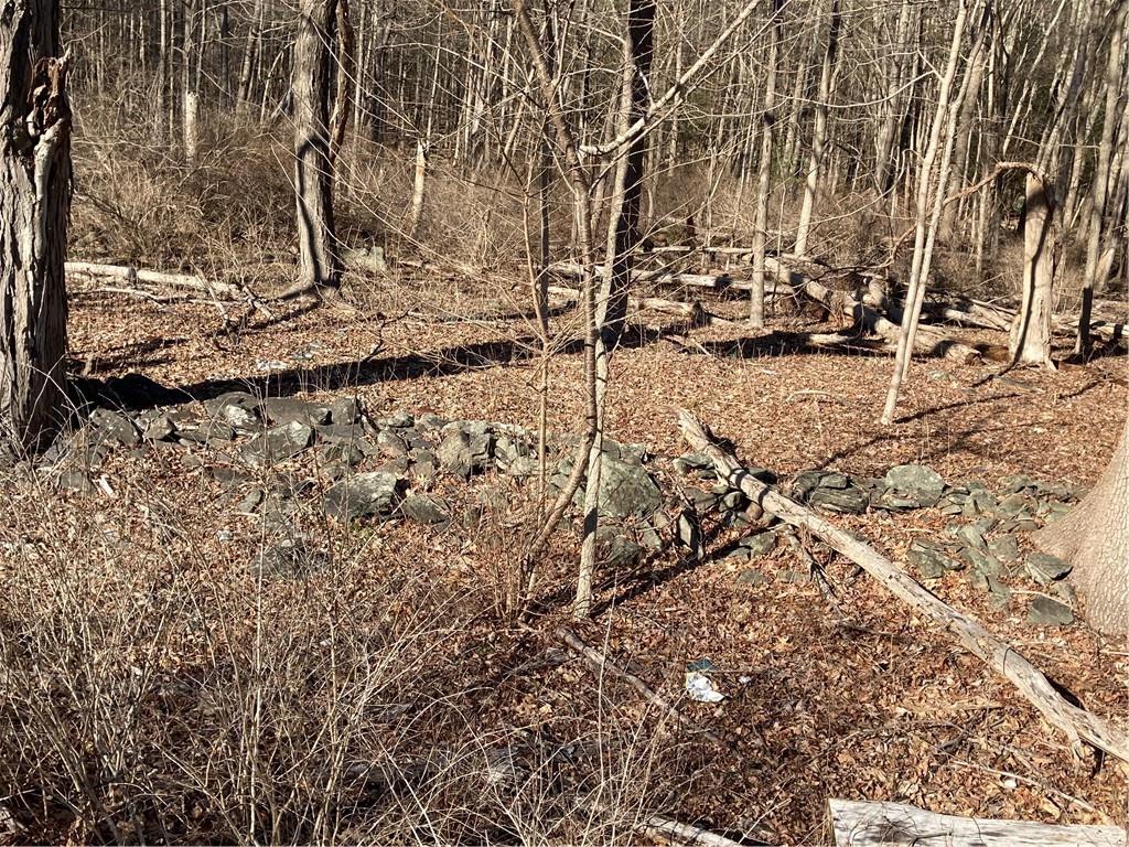 #5 photo, Route 212, Saugerties , NY 12477