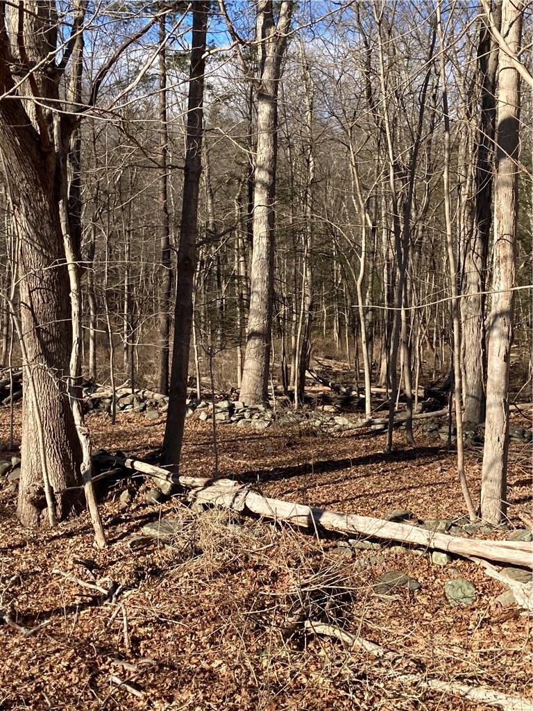 #6 photo, Route 212, Saugerties , NY 12477