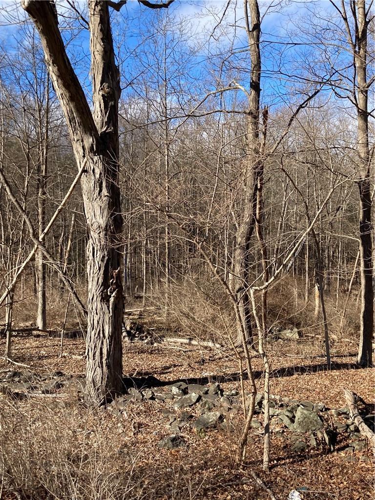 #7 photo, Route 212, Saugerties , NY 12477