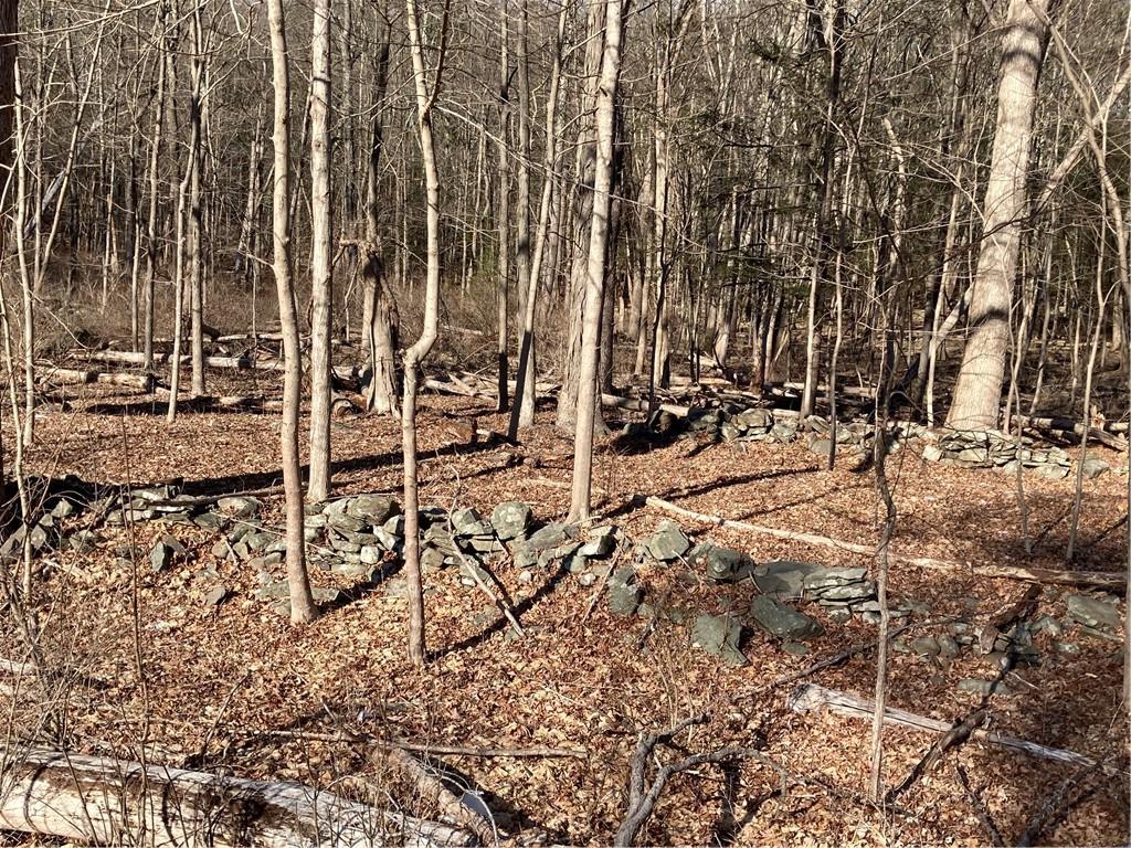 #8 photo, Route 212, Saugerties , NY 12477