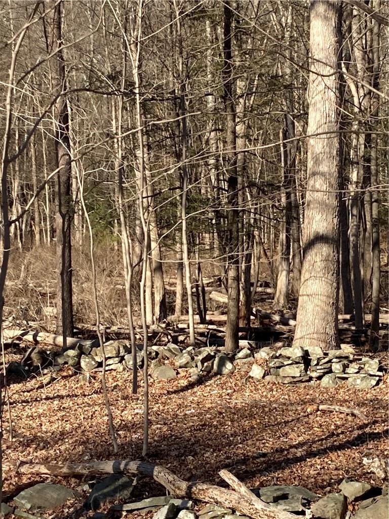 #9 photo, Route 212, Saugerties , NY 12477