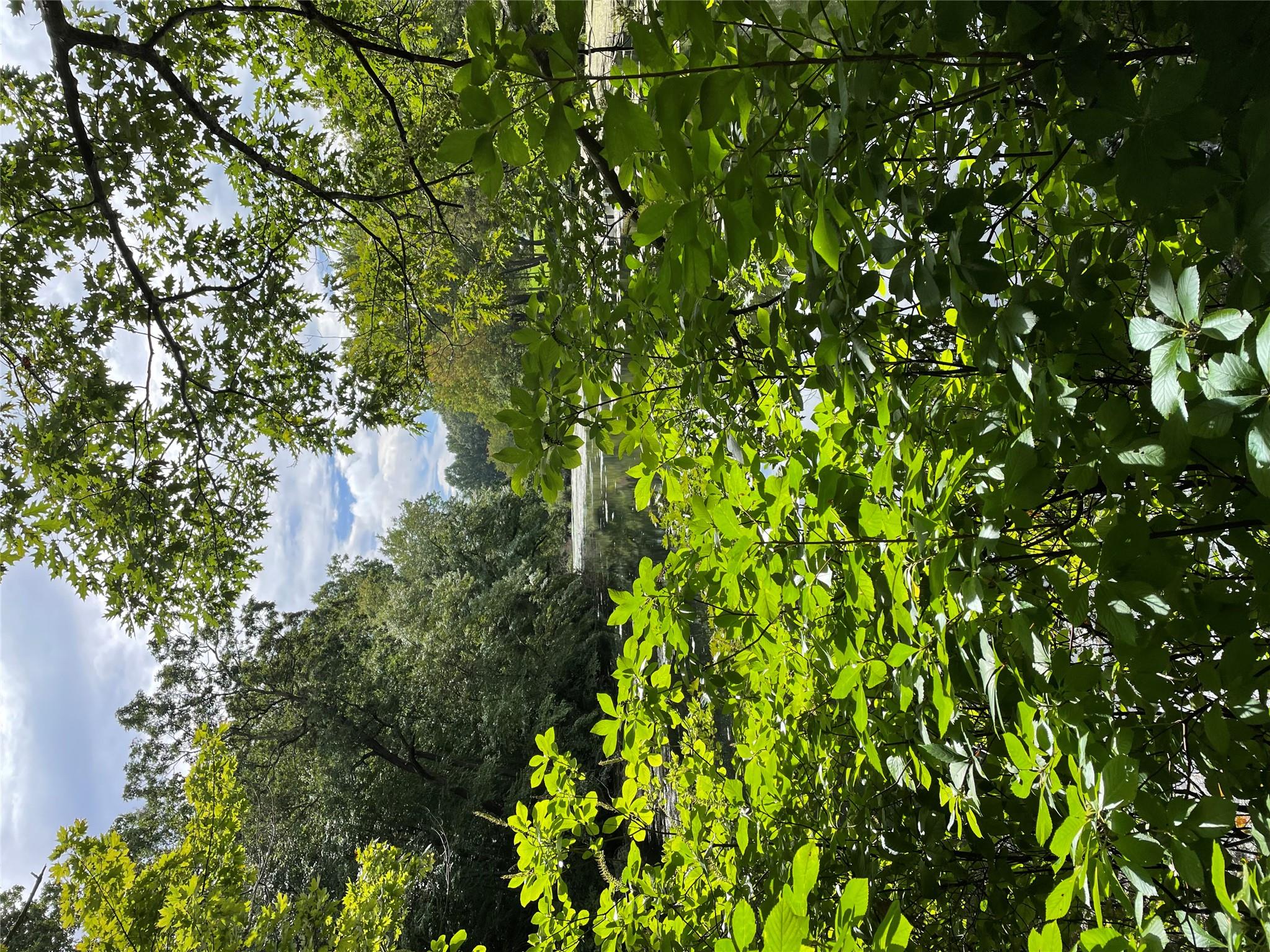 #2 photo, no numer Cleft Road, ナッソー郡 Mill Neck , NY 11765