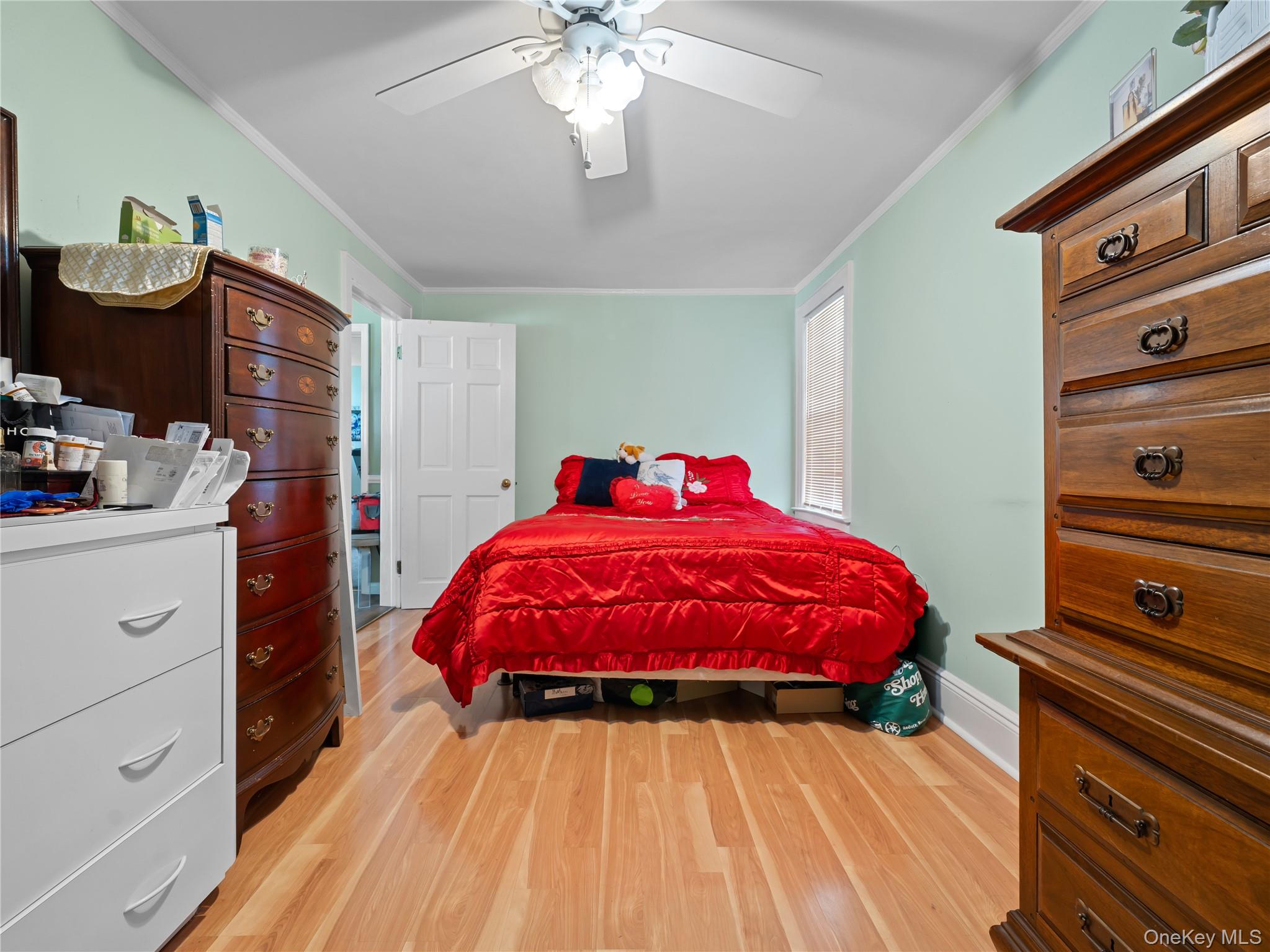 #13 photo, 8 Savoy Avenue, ナッソー郡 Elmont , NY 11003