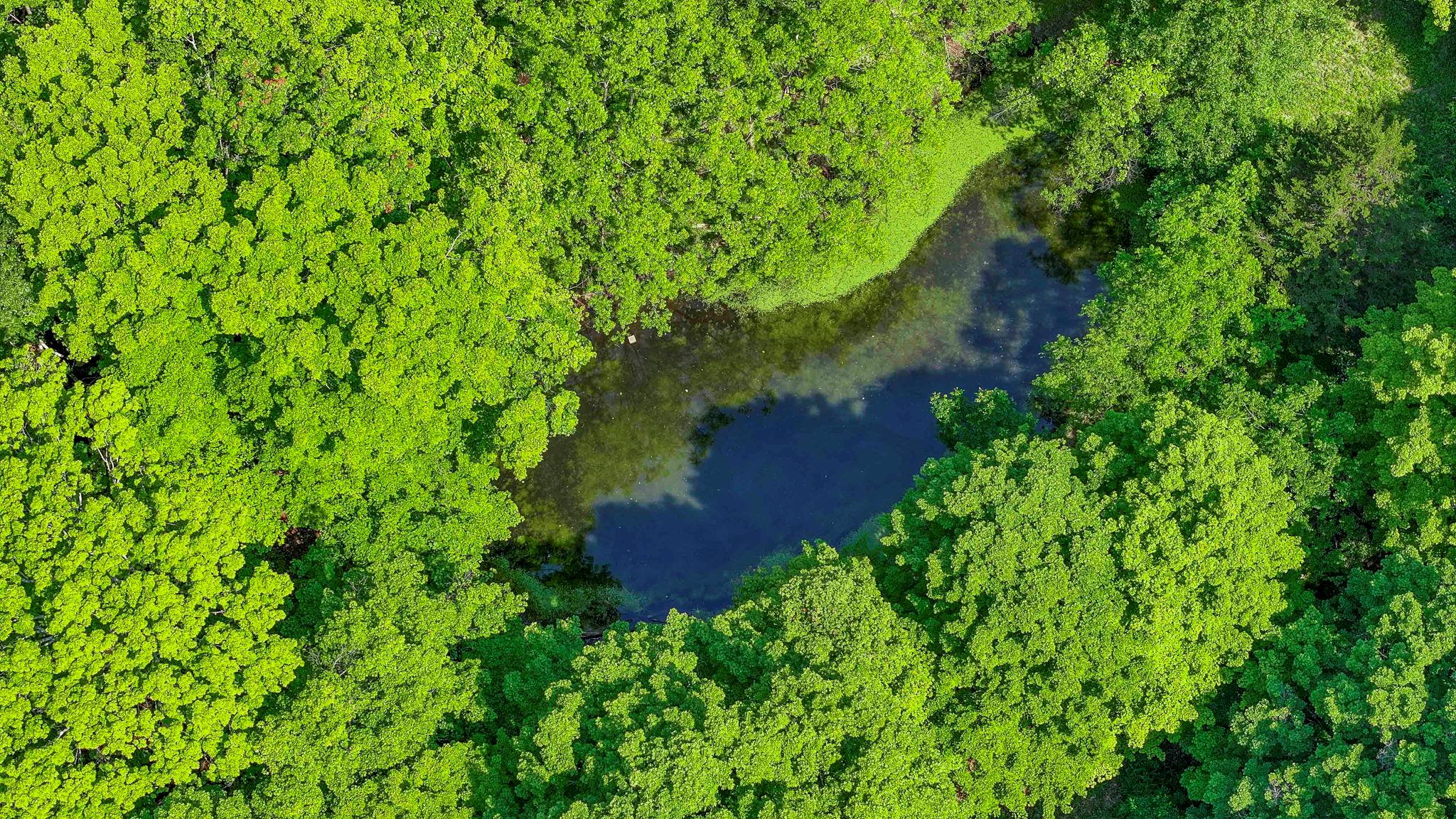 #3 photo, 553 Roosa Gap Road, Bloomingburg , NY 12721