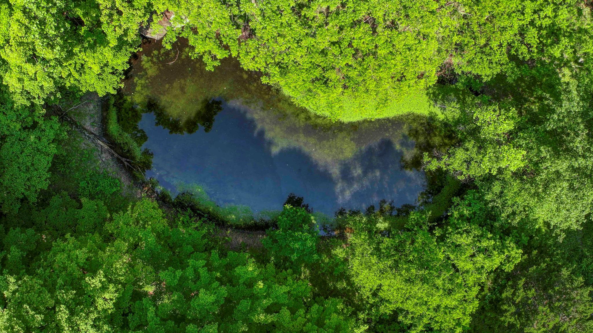 #4 photo, 553 Roosa Gap Road, Bloomingburg , NY 12721