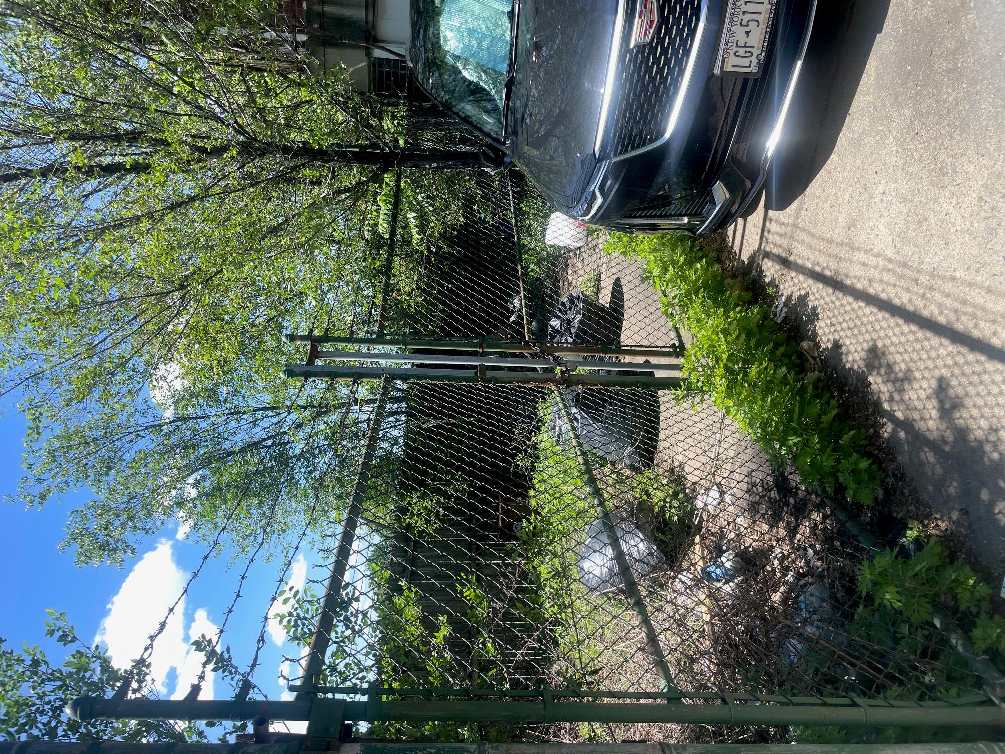 #3 photo, 5054 39th Place, クイーンズ区 Sunnyside , NY 11104