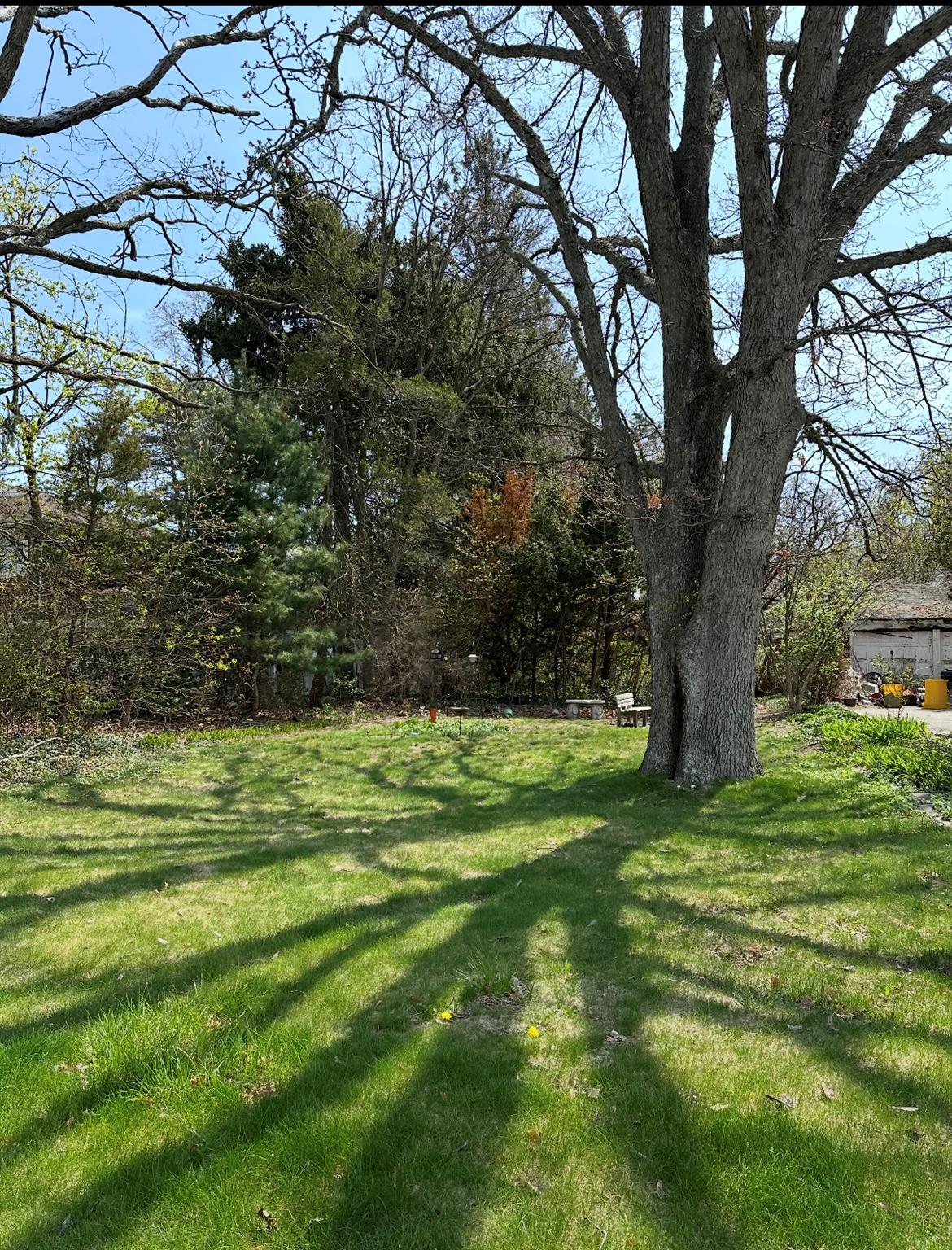 #2 photo, 71 Sycamore Avenue, Bethpage , NY 11714