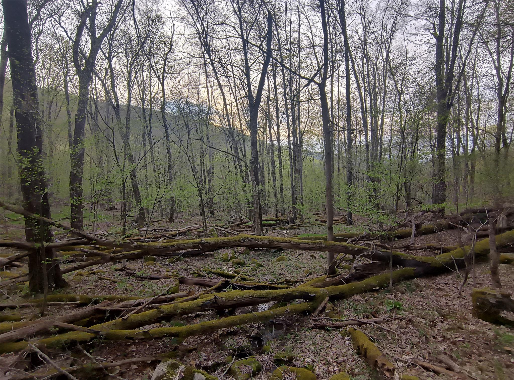 #10 photo, Chiloway Road, Hancock , NY 13783