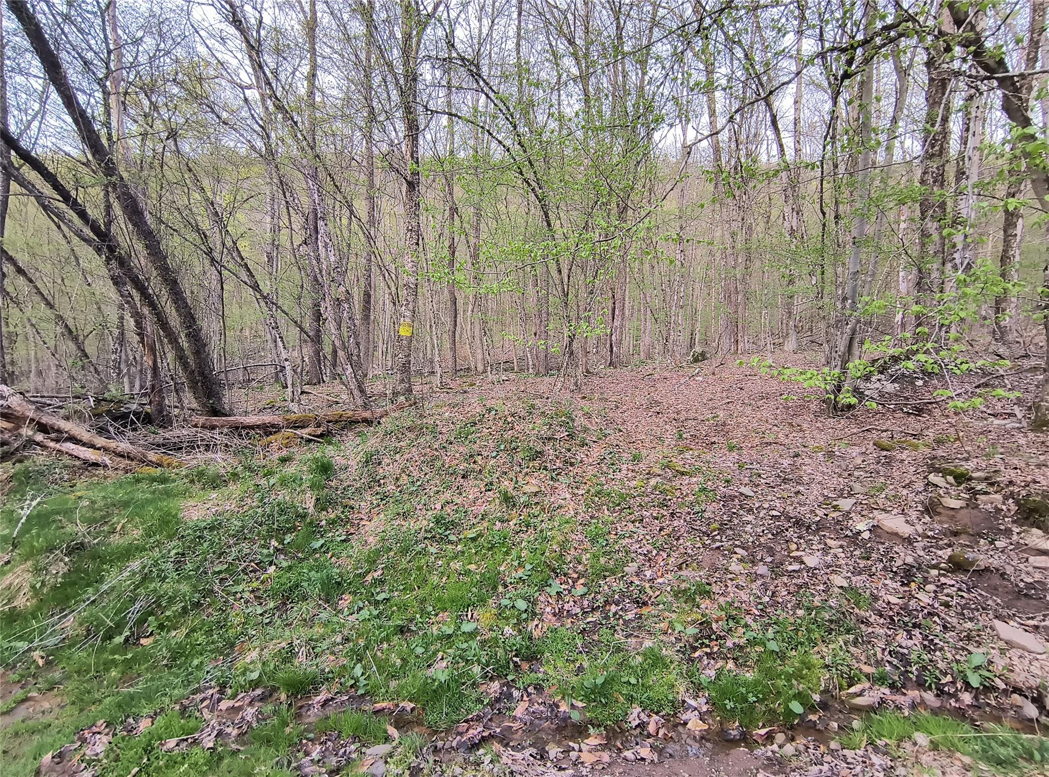 #11 photo, Chiloway Road, Hancock , NY 13783